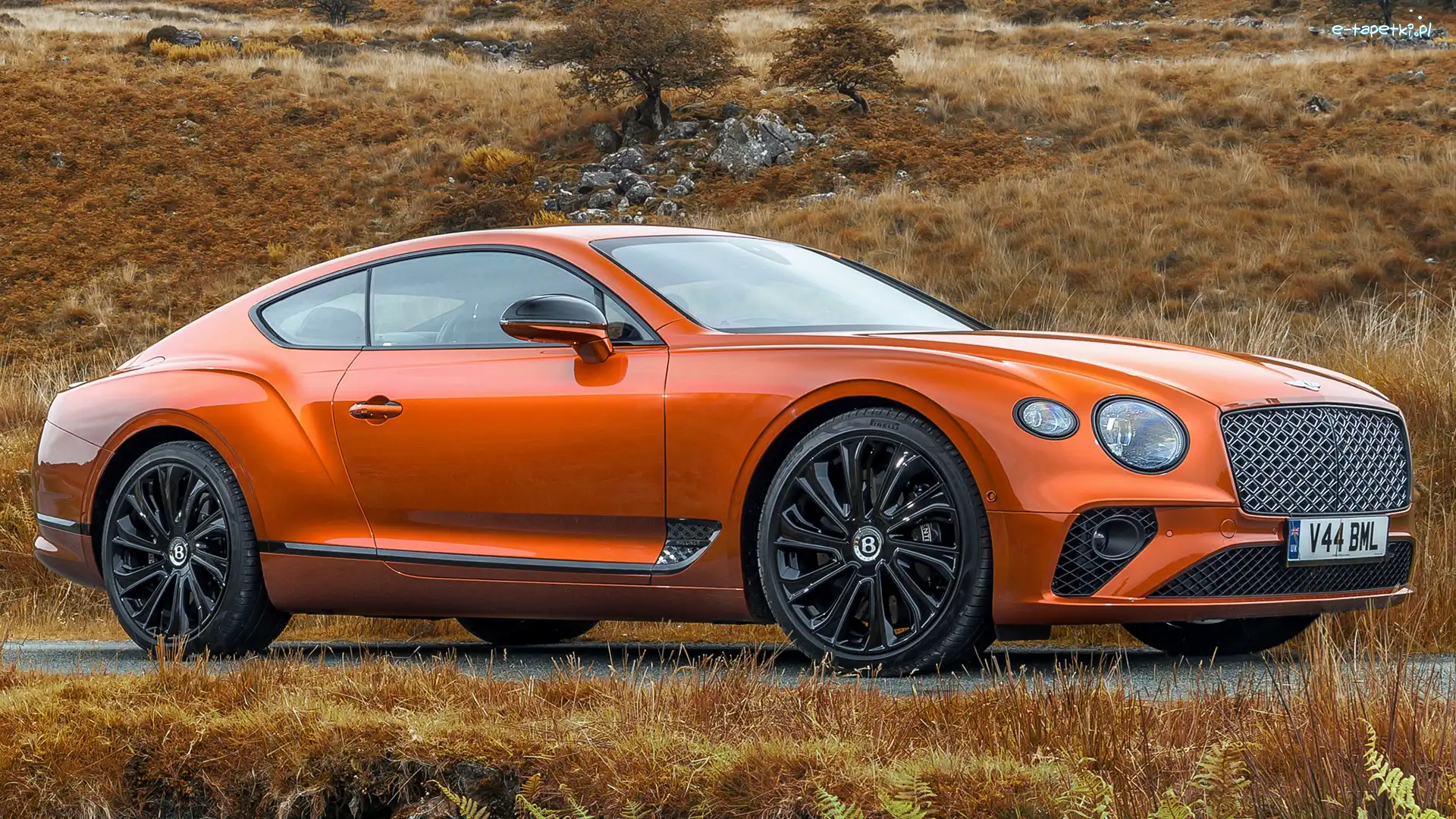Bentley Continental GT Mulliner