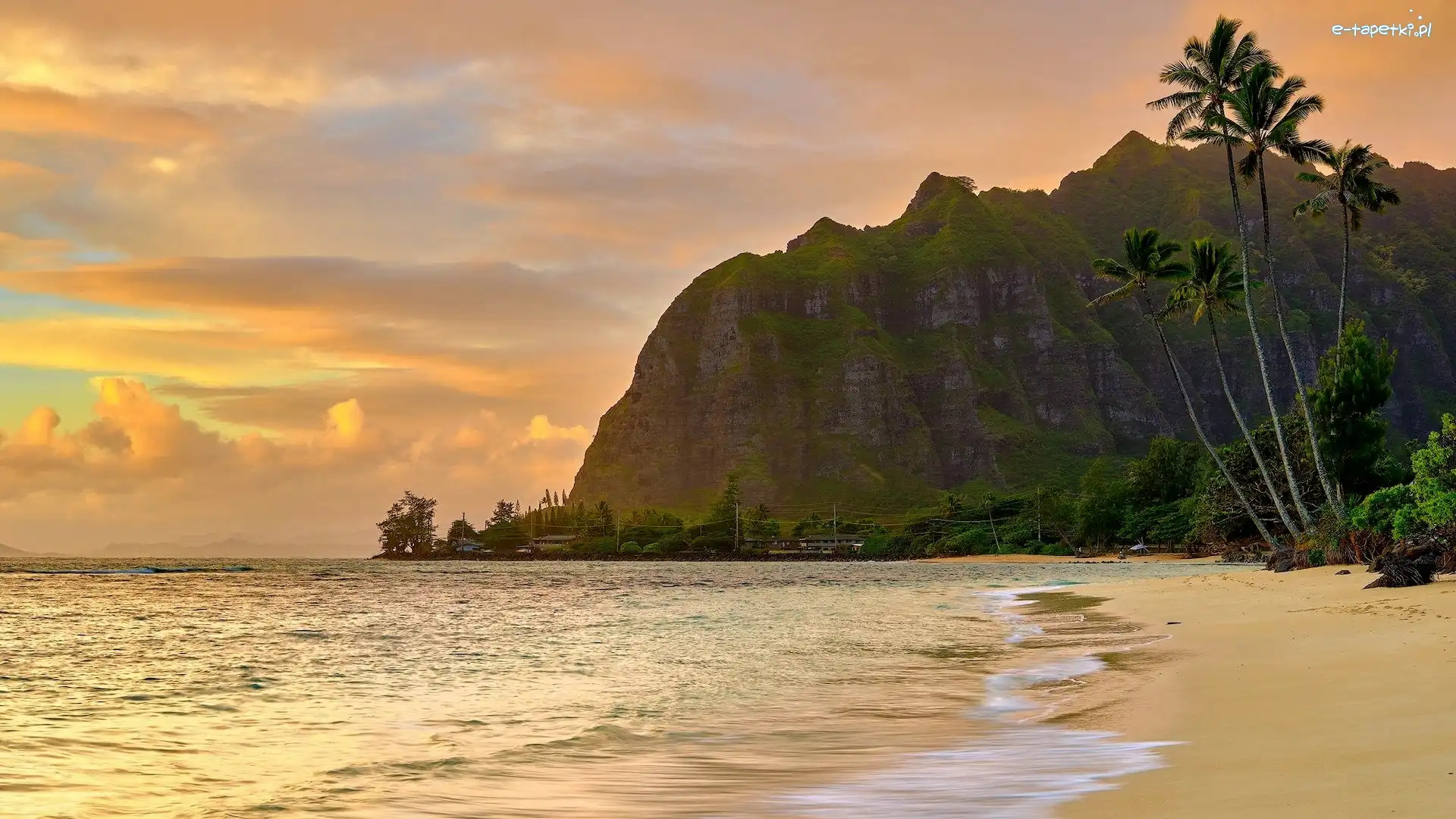 Góry, Oahu, Morze, Hawaje, Stany Zjednoczone, Palmy, Plaża