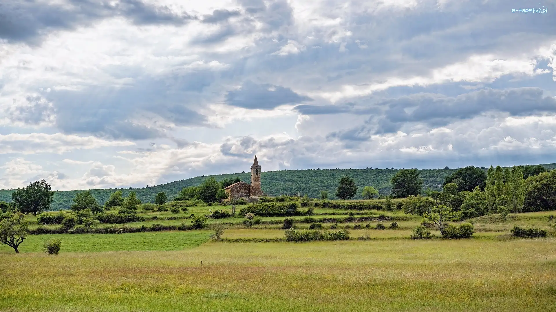 Prowansja, Kościół, Mane, Francja, Drzewa, Łąka
