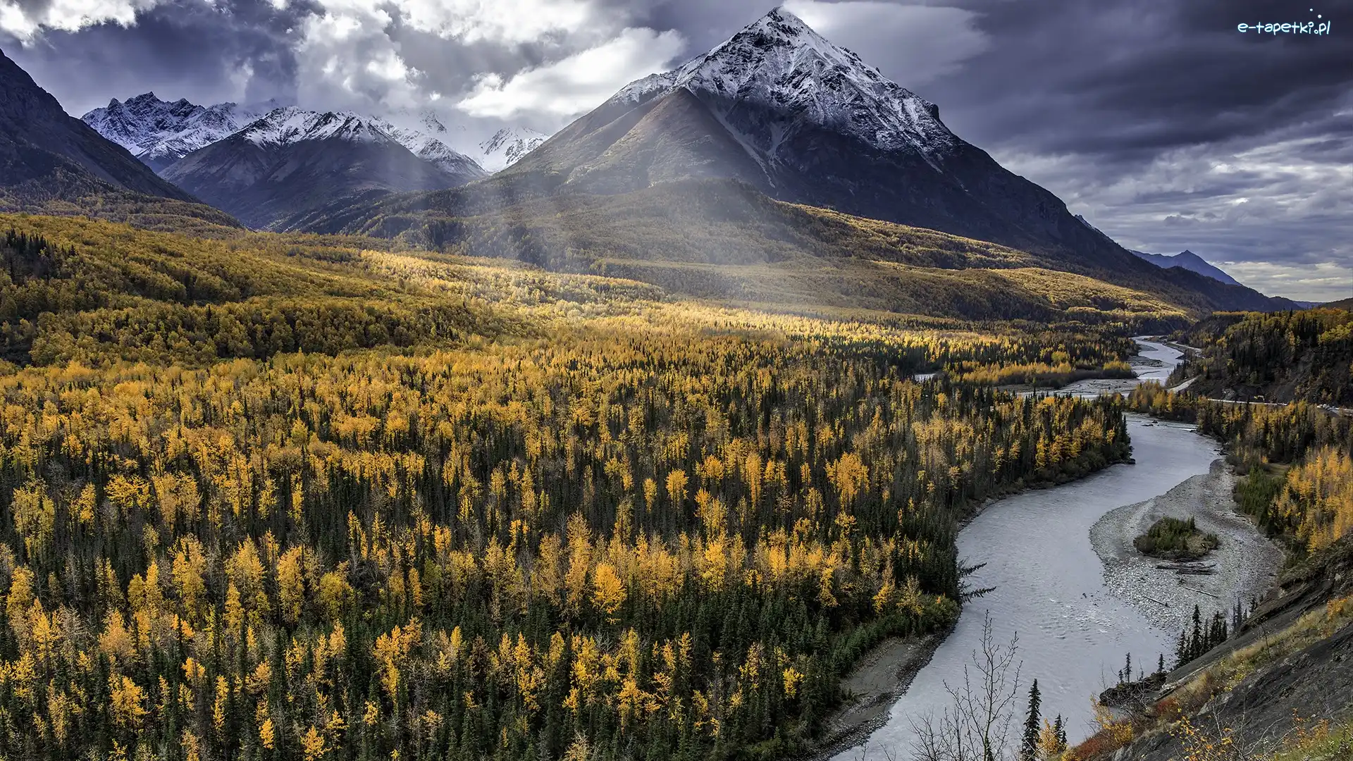 Drzewa, Żółte, Rzeka, Góry, Jesień, Stany Zjednoczone, Alaska, Matanuska River, Modrzew