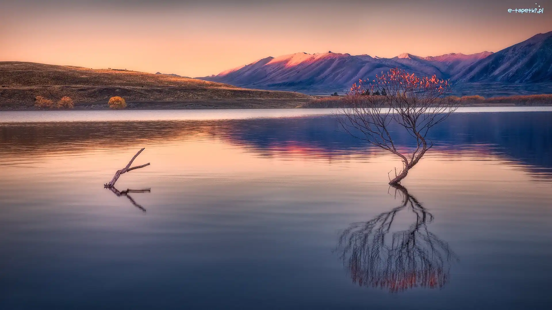 Nowa Zelandia, Wanaka, Jezioro, Drzewo, Góry