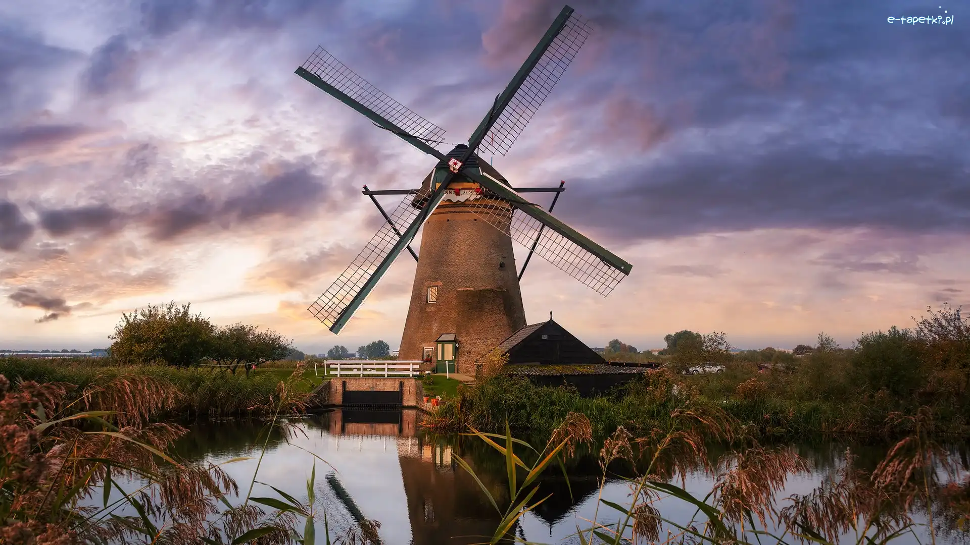 Kinderdijk, Most, Rośliny, Holandia, Rzeka, Wiatrak
