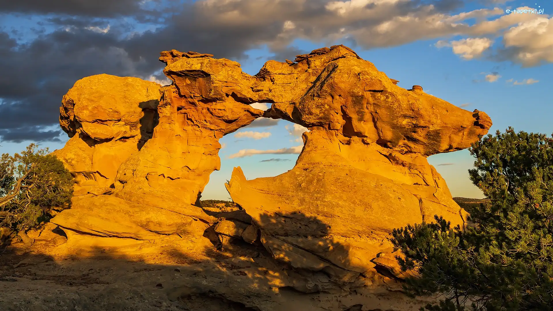 Utah, Drzewa, Grand Staircase Escalante, Stany Zjednoczone, Łuk, Skała