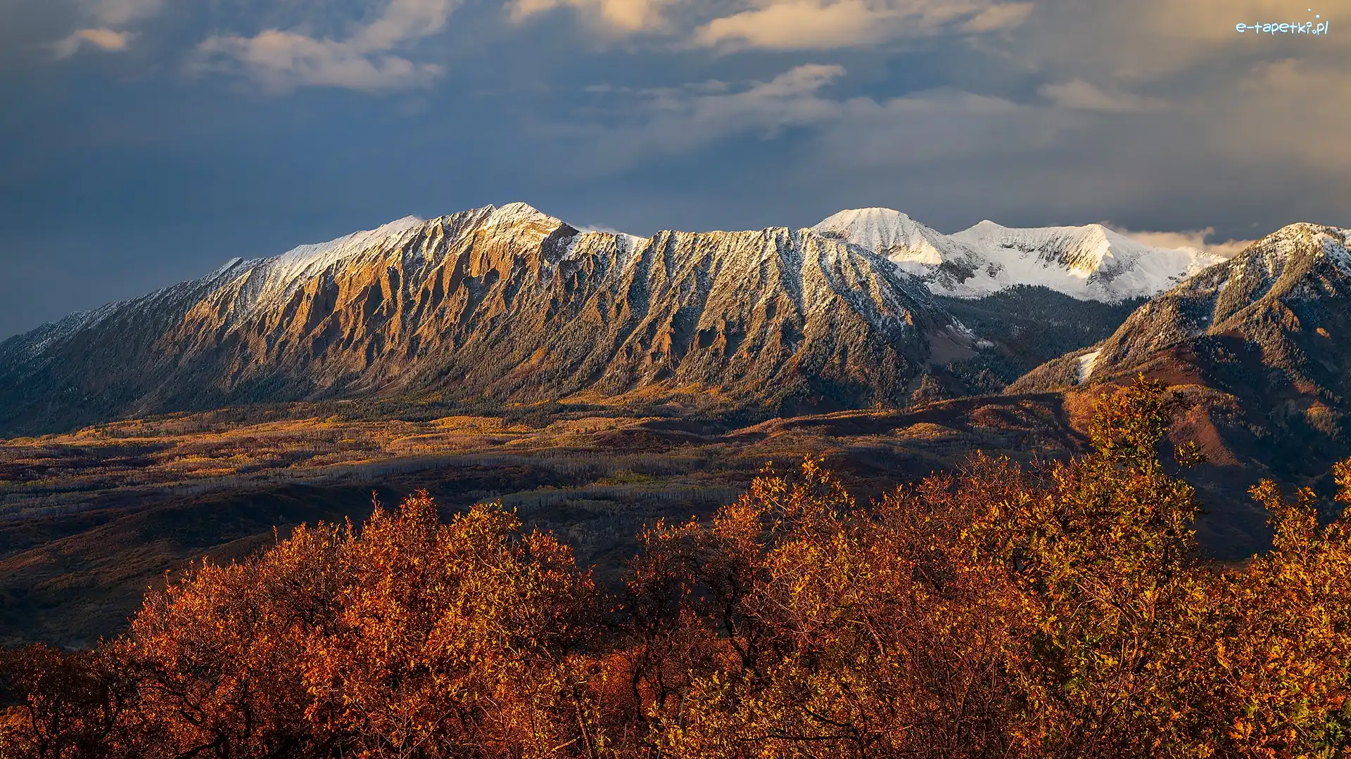 Krzewy, West Elk Mountains, Stany Zjednoczone, Kolorado, Brązowe, Przełęcz, Kebler Pass, Góry