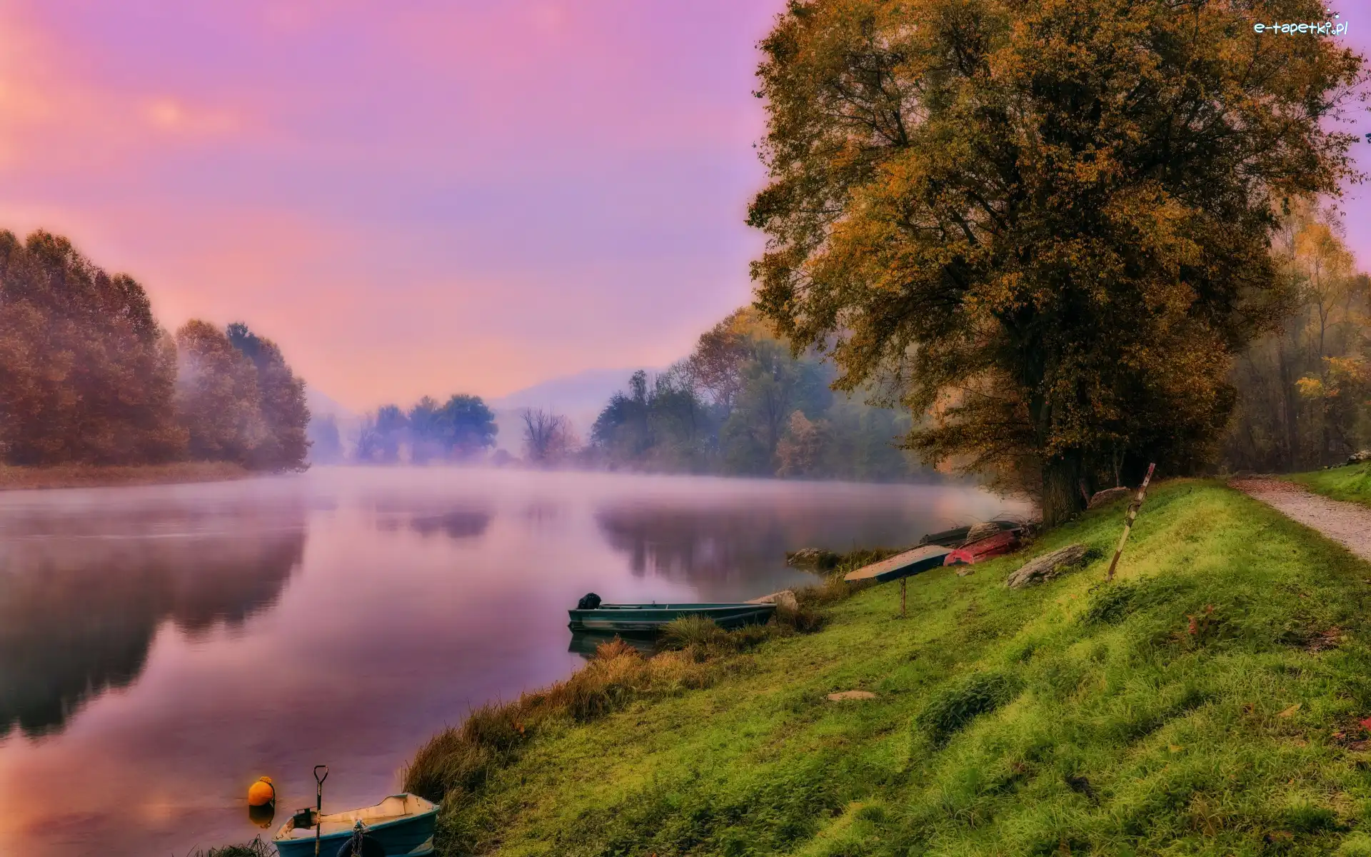 Drzewa, Mgła, Łódki, Trawa, Jezioro, Poranek