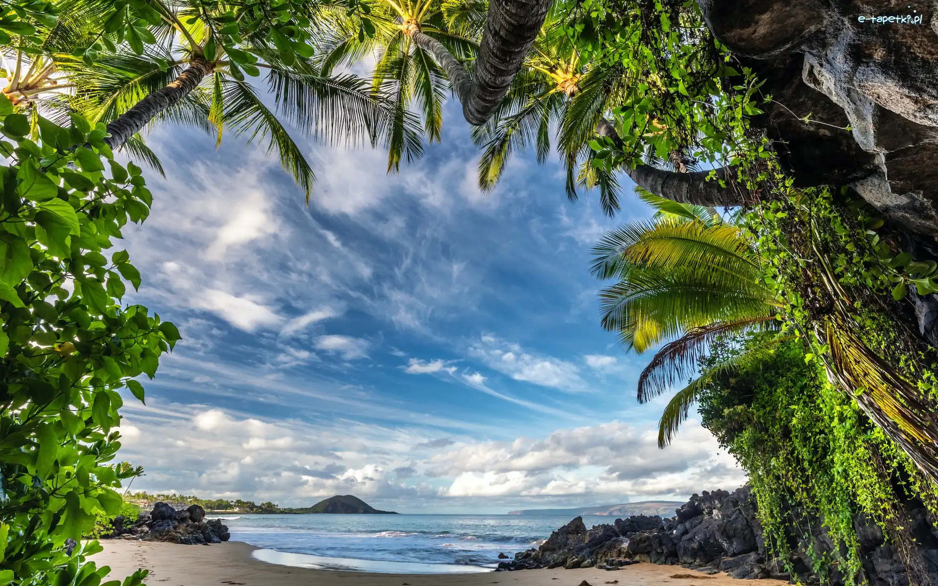 Roślinność, Palmy, Maui, Hawaje, Stany Zjednoczone, Chmury, Niebo, Plaża, Skały