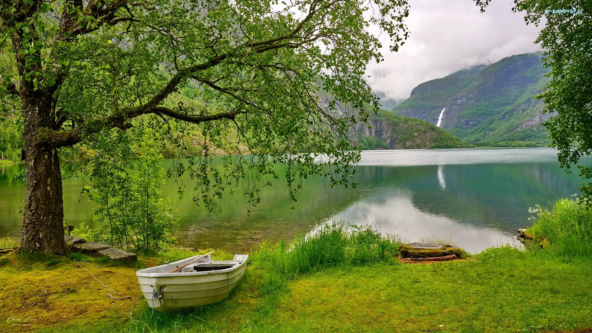Łódka, Drzewo, Sognefjorden, Fiord, Norwegia, Norwegia, Skjolden, Góry, Wodospad Asafossen