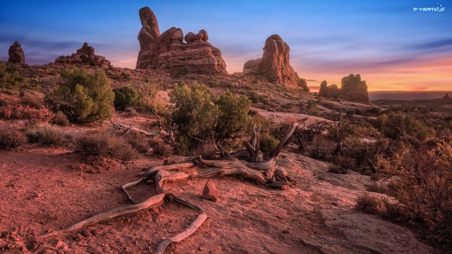 Formacje, Skały, Stany Zjednoczone, Utah, Krzewy, Turret Arch, Park Narodowy Arches, Góry