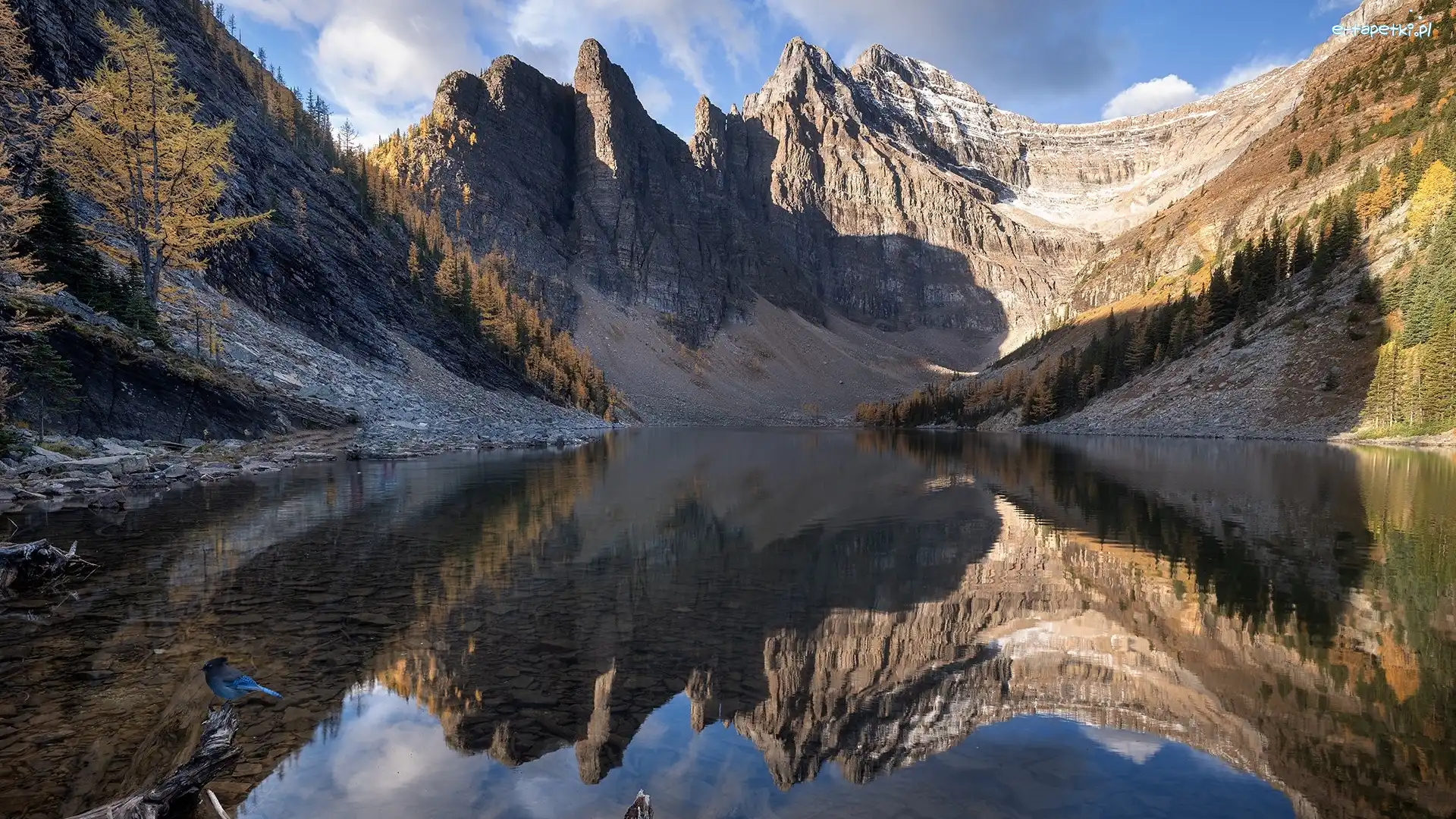 Park Narodowym Banff, Ptak, Góry, Agnes Lake, Jezioro, Kanada, Alberta, Drzewa, Prowincja