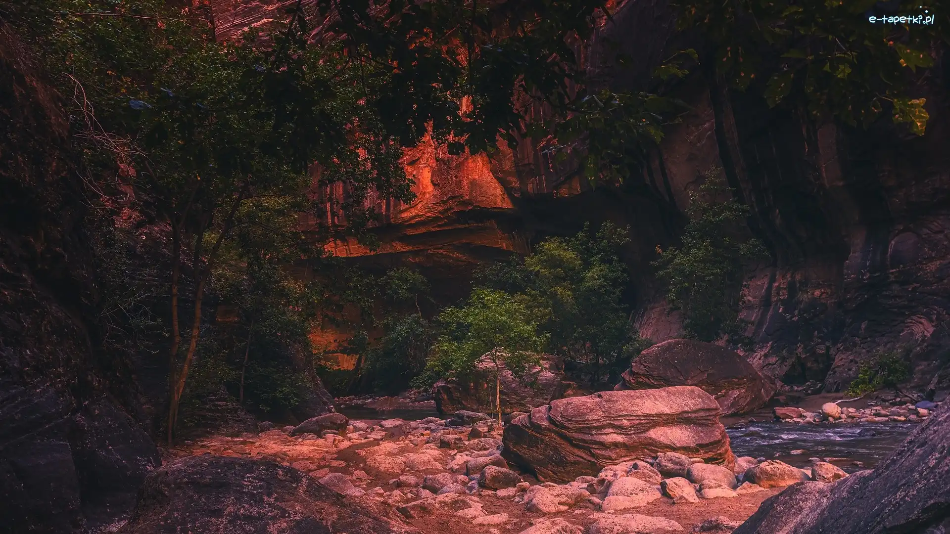 Stany Zjednoczone, Kanion, Zion, Drzewa, Skały, Utah, Park Narodowy Zion