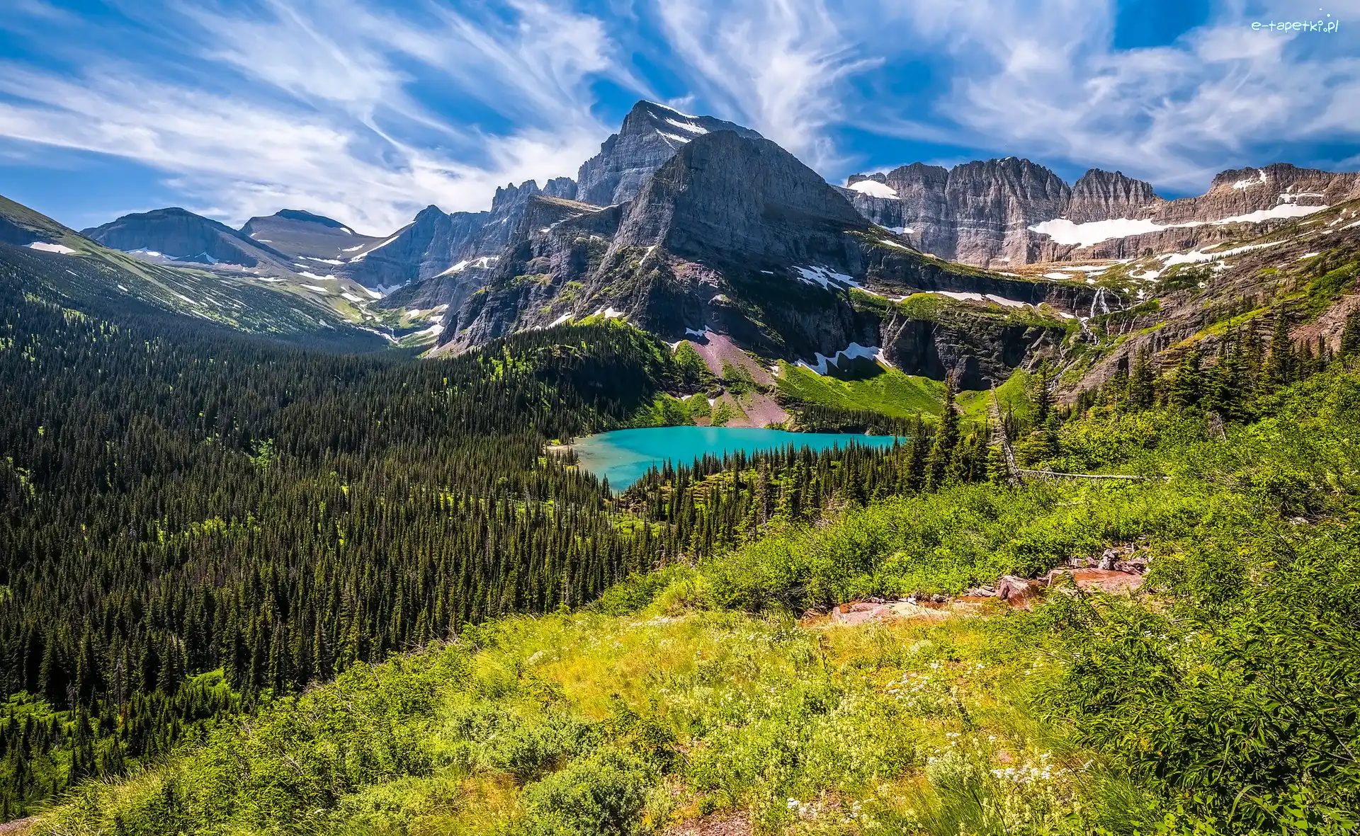 Rośliny, Stany Zjednoczone, Góry, Montana, Park Narodowy Glacier, Drzewa, Jezioro
