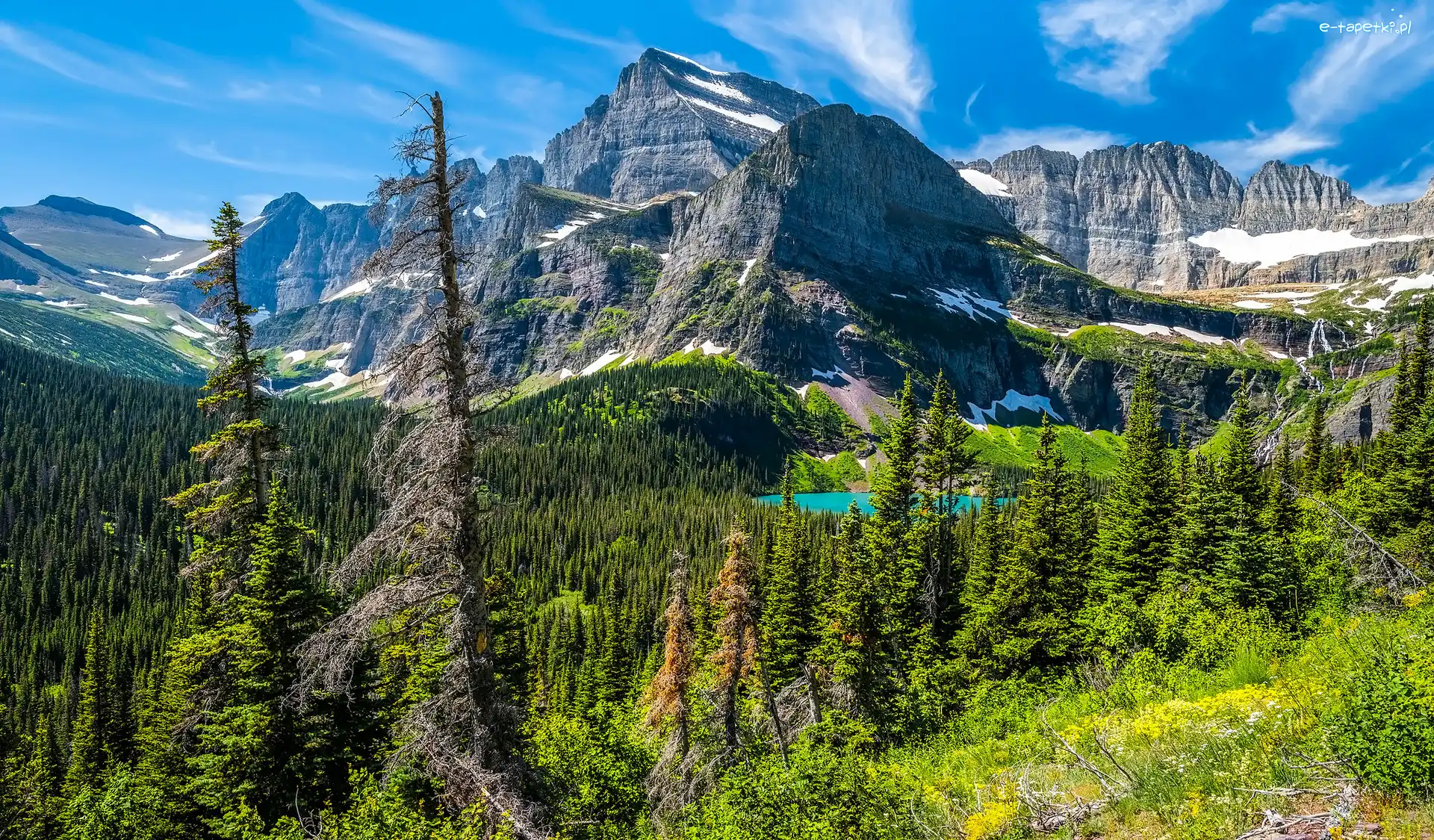 Rośliny, Stany Zjednoczone, Drzewa, Montana, Park Narodowy Glacier, Jezioro, Góry