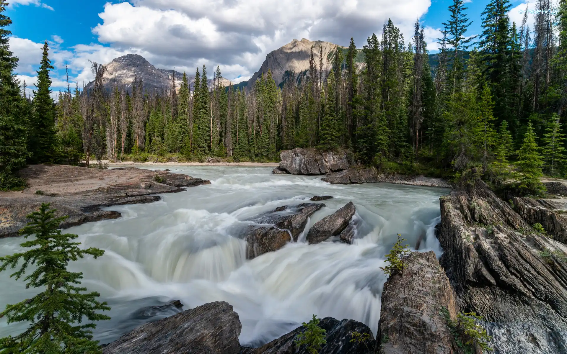 Rzeka, Drzewa, Las, Wodospad, Skały, Alberta, Góry, Sunwapta Falls, Kamienie, Kanada, Sunwapta River, Park Narodowy Jasper