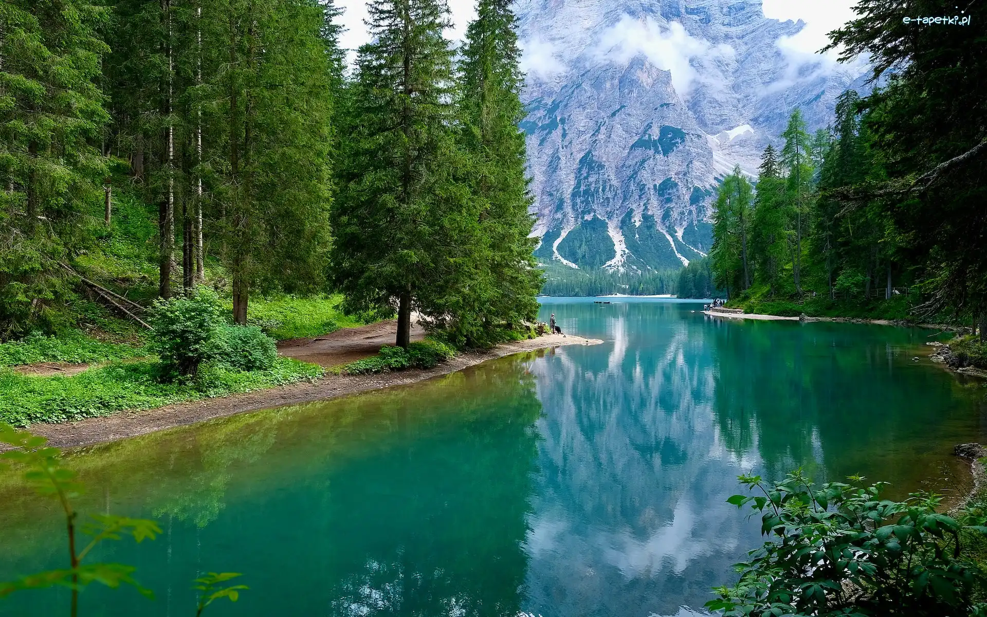 Pragser Wildsee, Południowy Tyrol, Odbicie, Mgła, Jezioro, Góry, Drzewa, Włochy