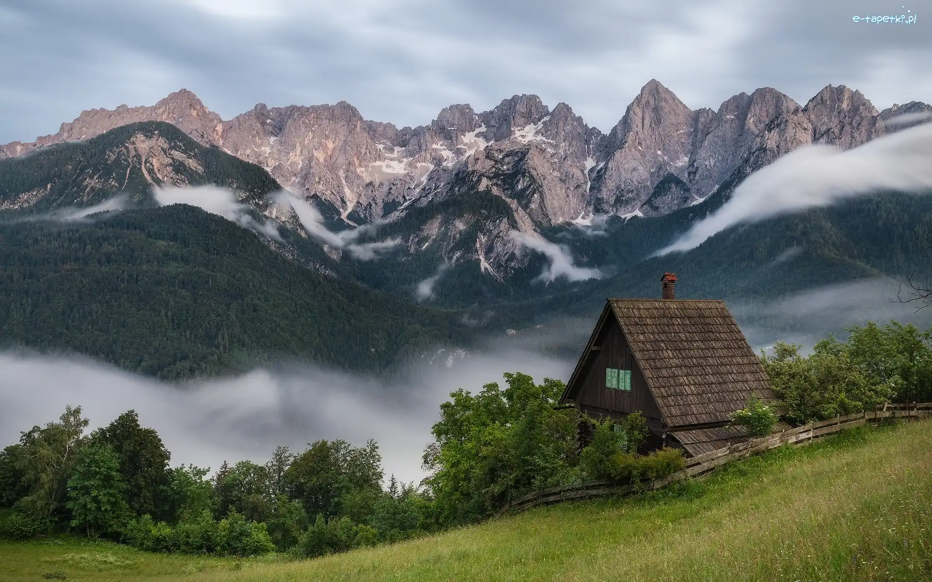 Drzewa, Alpy Julijskie, Słowenia, Kranjska Gora, Las, Dom, Mgła, Góry