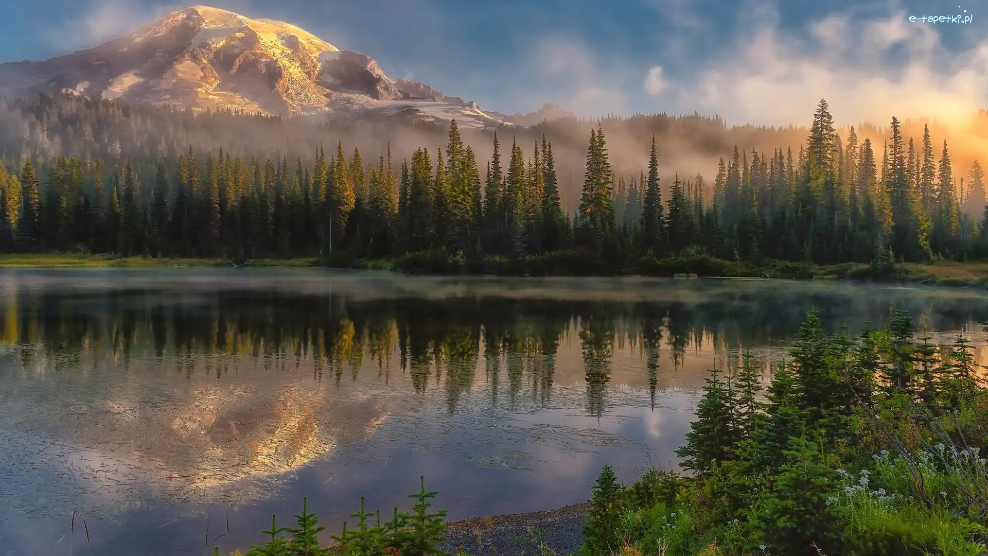 Reflection Lake, Stan Waszyngton, Odbicie, Jezioro, Stratowulkan, Góra, Drzewa, Stany Zjednoczone, Park Narodowy Mount Rainier, Mgła