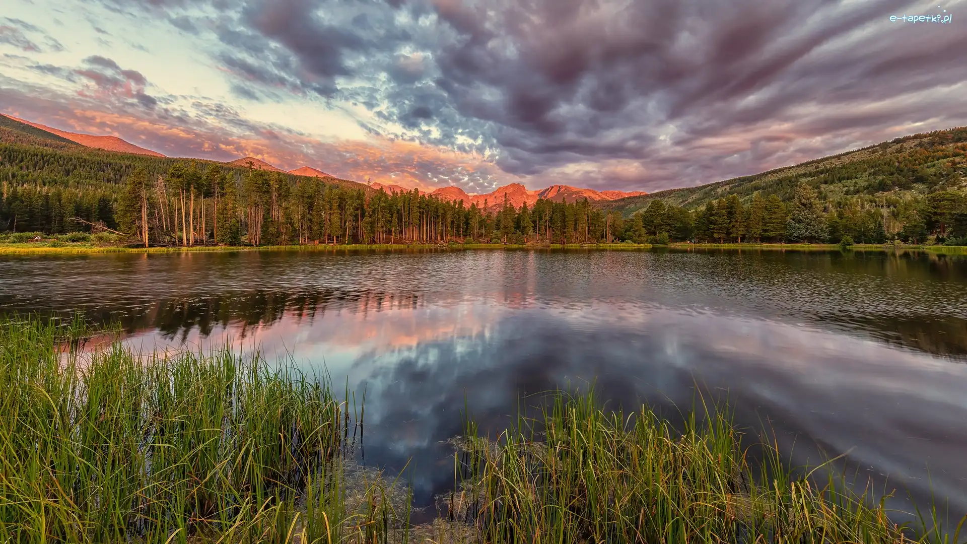 Drzewa, Spraque Lake, Park Narodowy Gór Skalistych, Kolorado, Stany Zjednoczone, Wschód słońca, Chmury, Jezioro, Niebo