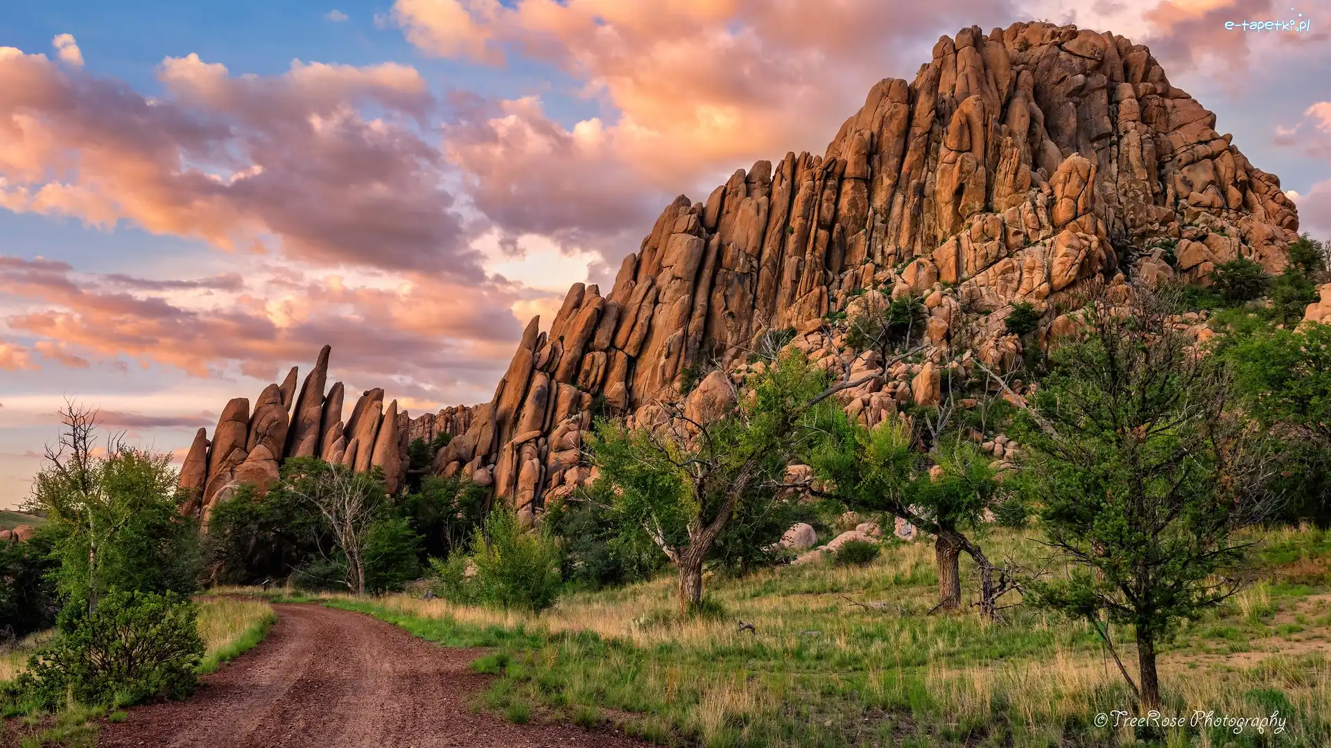 Drzewa, Point of Rocks, Stany Zjednoczone, Arizona, Droga, Szlak Peavine Trail, Prescott, Skały
