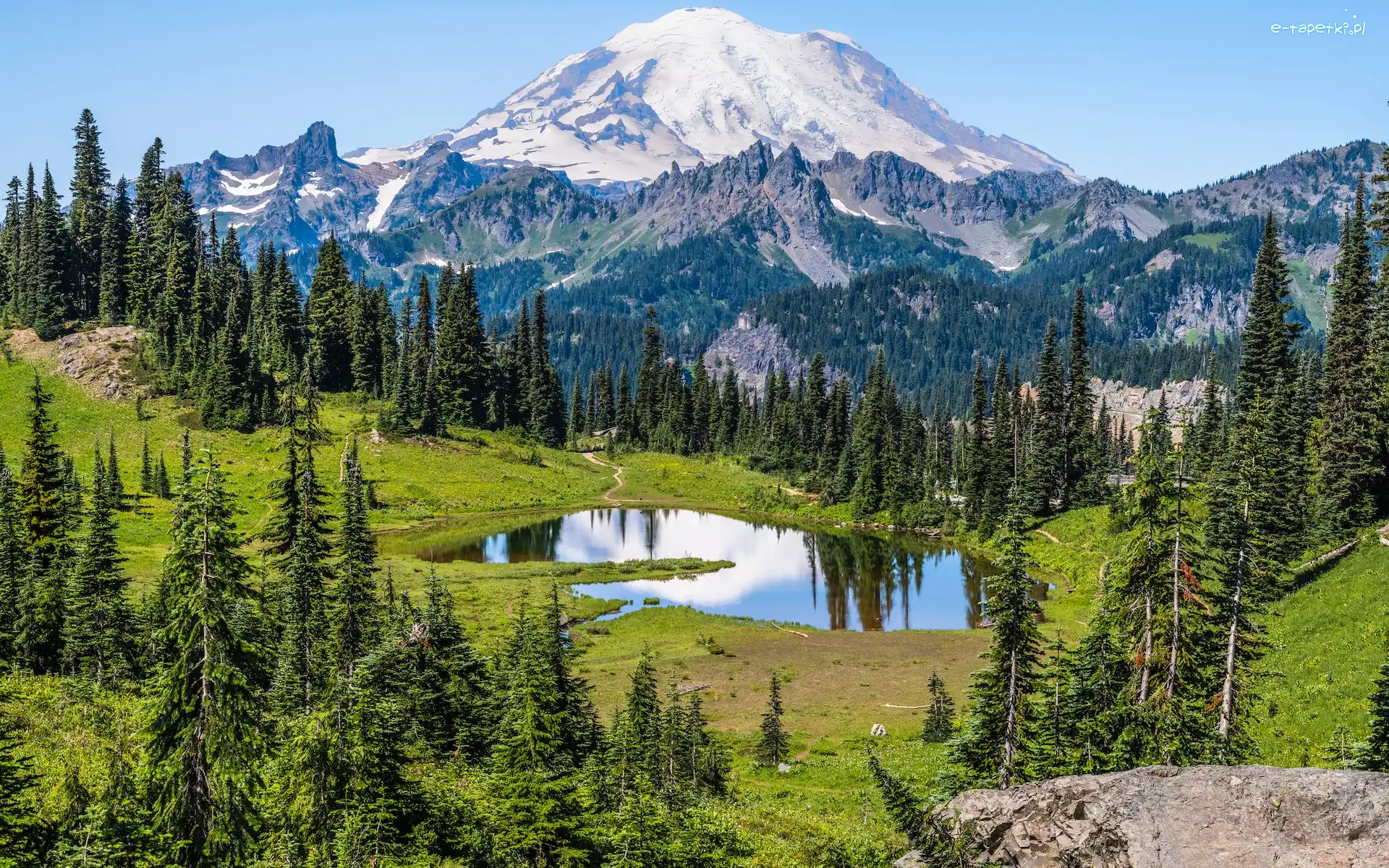 Góry, Mount Rainier, Park Narodowy Mount Rainier, Waszyngton, Stany Zjednoczone, Drzewa, Tipsoo Lake, Stratowulkan, Jezioro