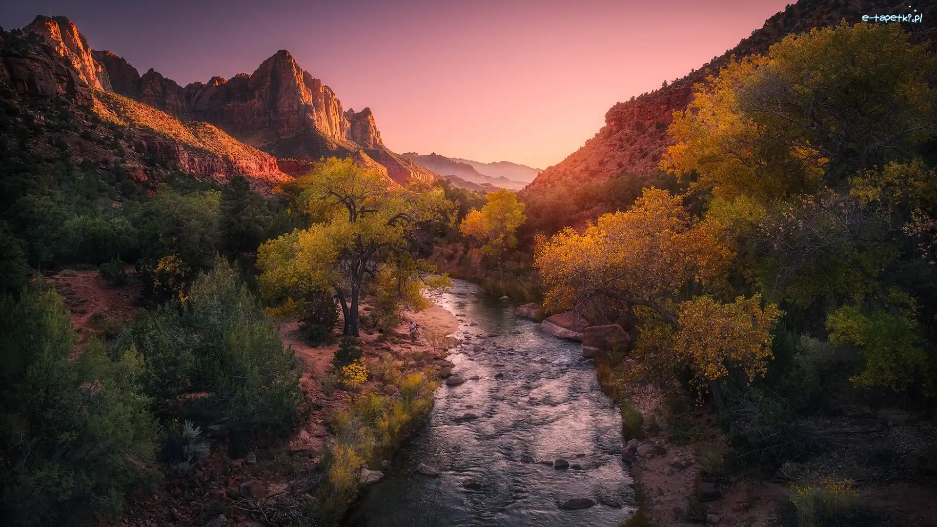 Jesień, Drzewa, Rzeka, Góra Watchman, Góry, Stany Zjednoczone, Utah, Rzeka Virgin River, Park Narodowy Zion