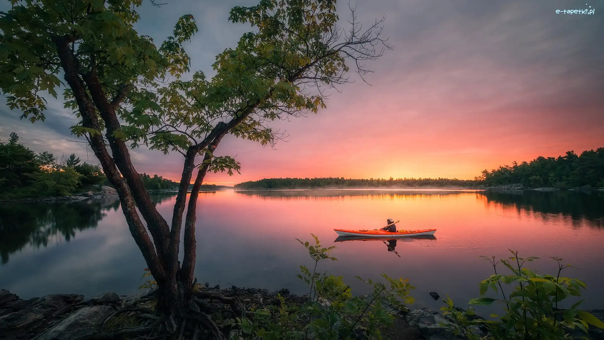Kanada, Kajak, Drzewa, French River, Rzeka, Ontario, Wschód słońca