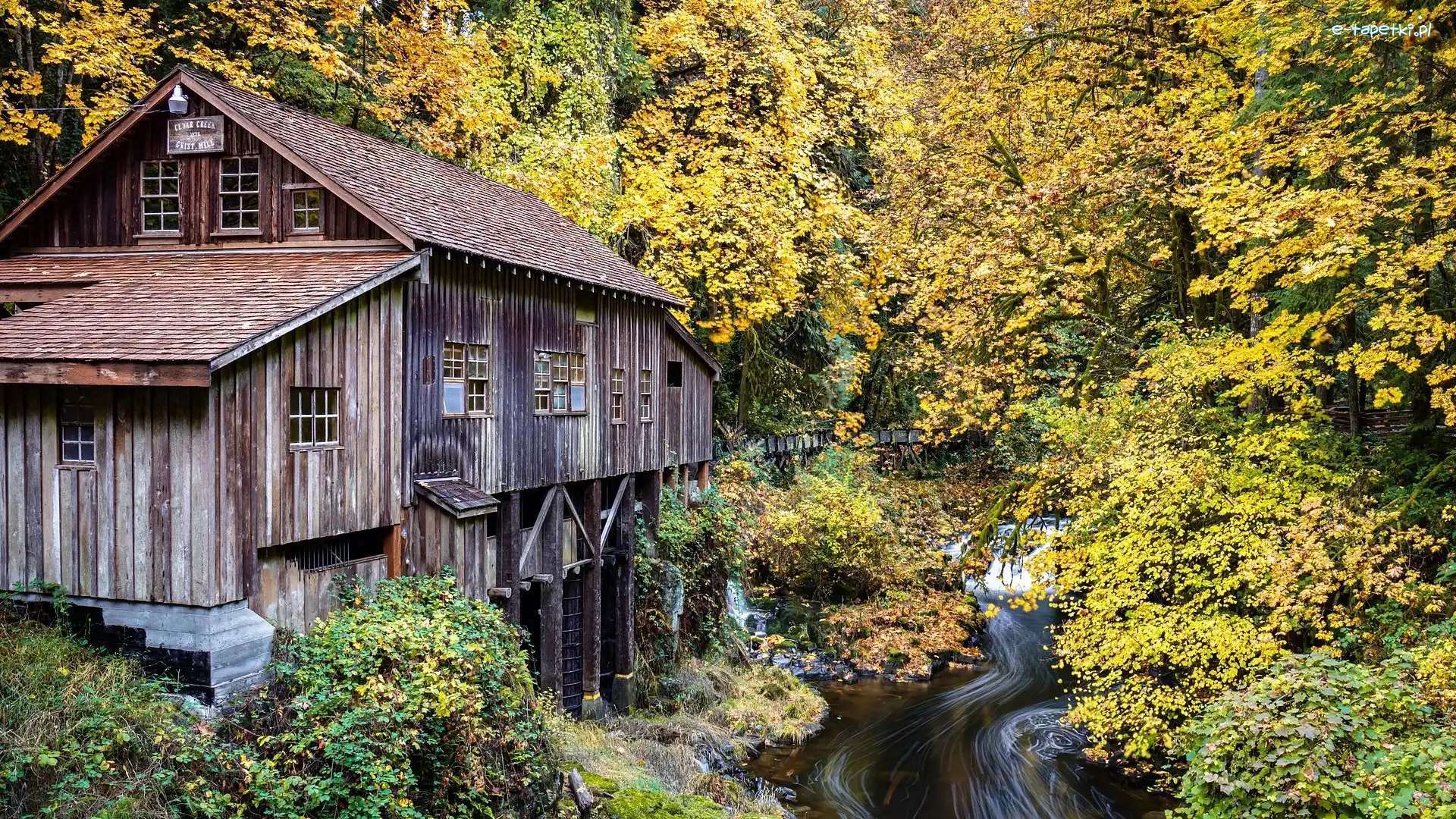 Woodland, Cedar Creek Grist Mill, Stany Zjednoczone, Jesień, Lewis River, Drzewa, Las, Młyn wodny, Rzeka, Stan Waszyngton