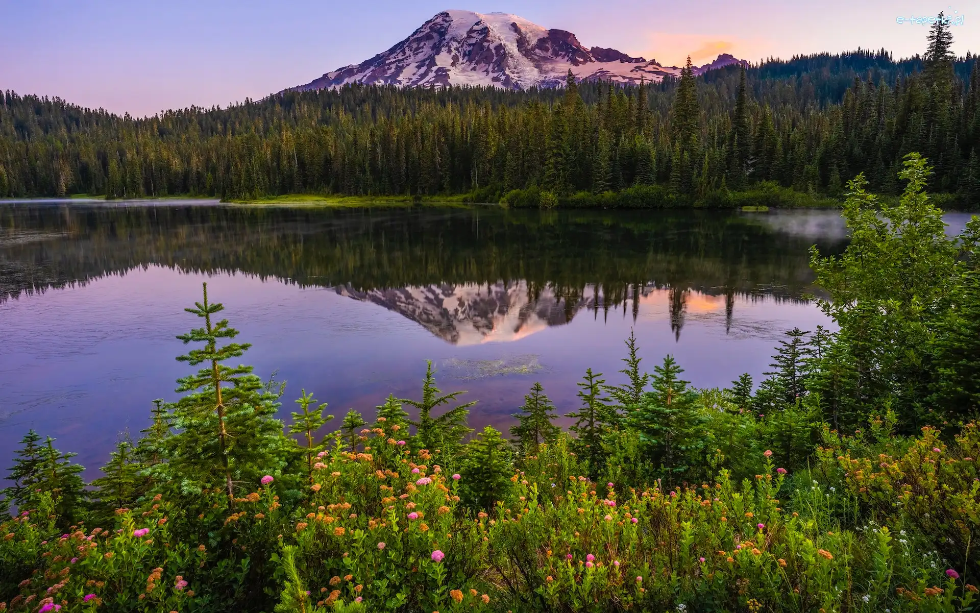 Reflection Lake, Jezioro, Park Narodowy Mount Rainier, Waszyngton, Stany Zjednoczone, Odbicie, Kwiaty, Góra, Drzewa
