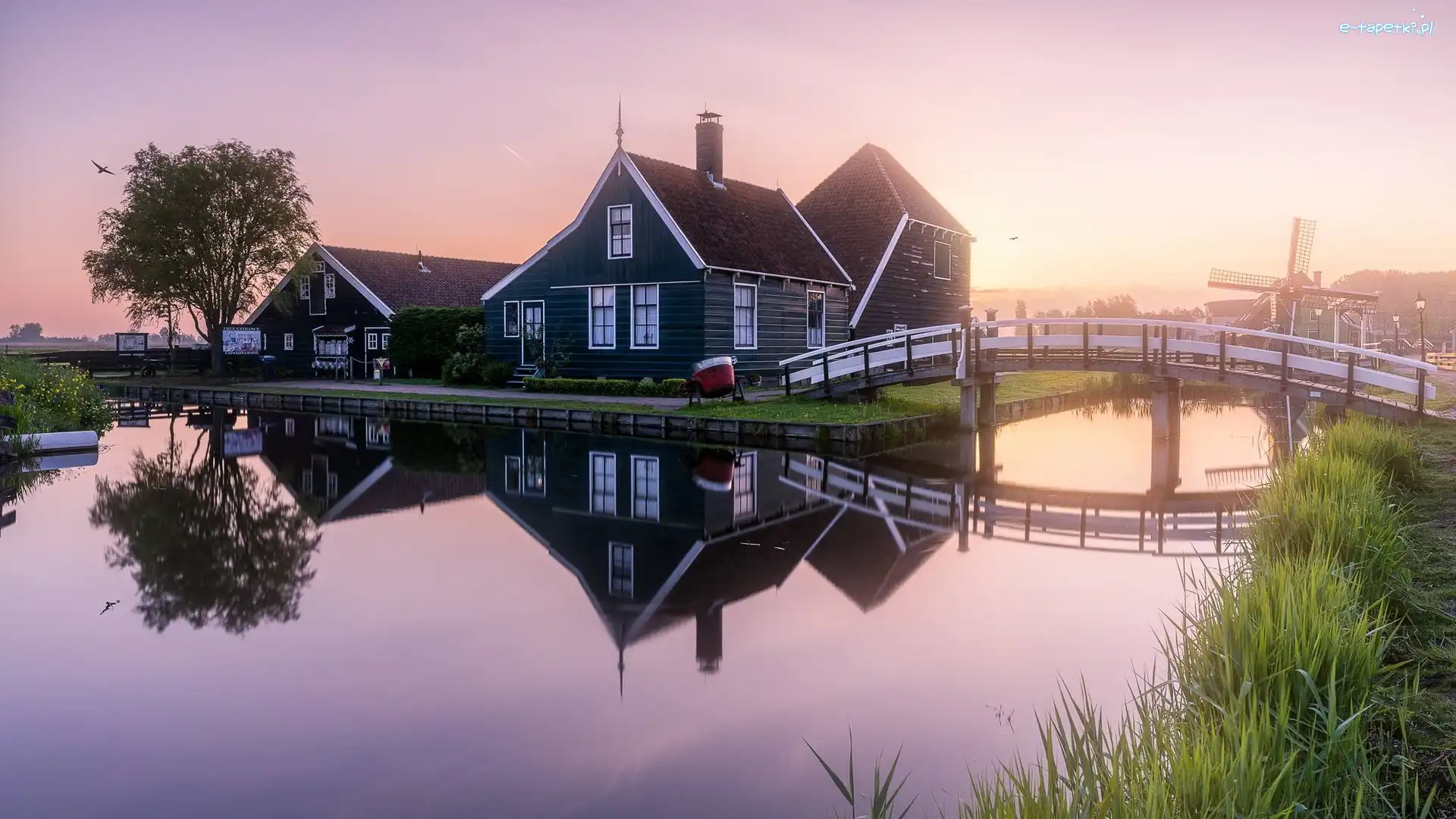 Most, Wschód słońca, Zaandam, Skansen Zaanse Schans, Domy, Kanał, Drzewa, Holandia
