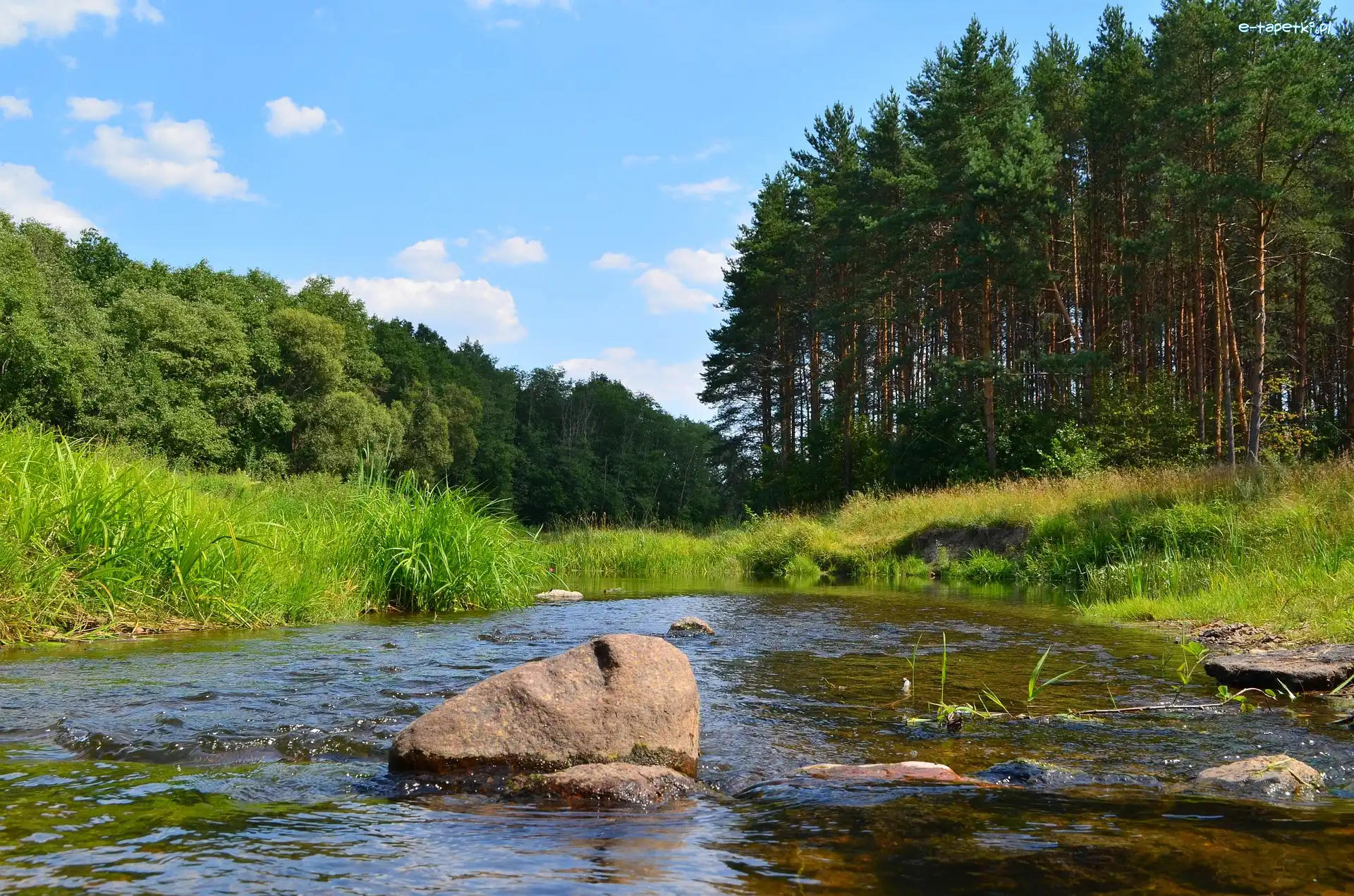Rzeka, Zielona, Drzewa, Kamienie, Trawa