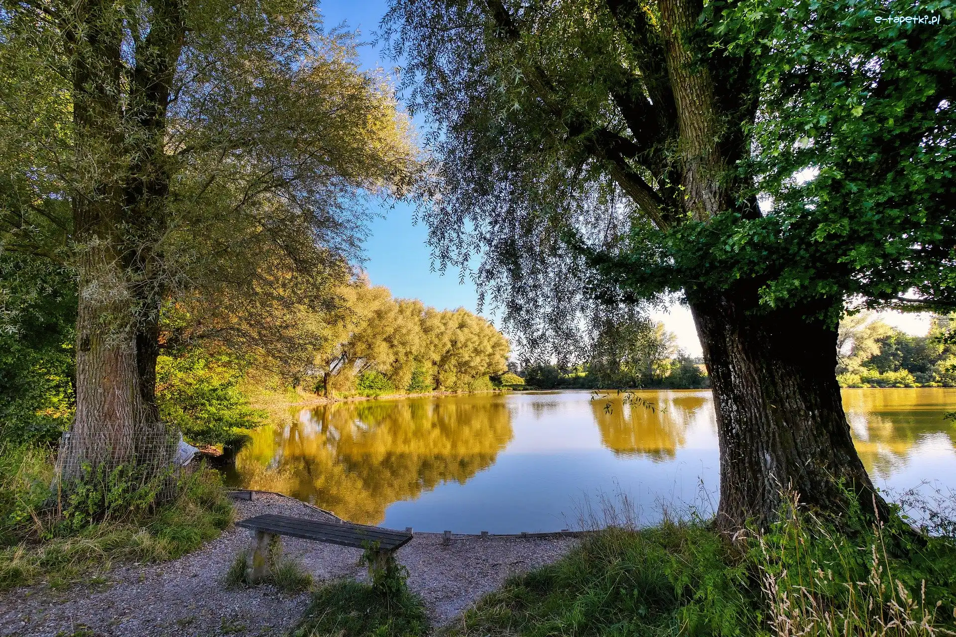 Drzewa, Jesień, Staw, Ławka