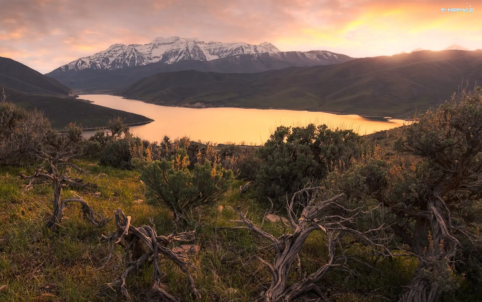 Konary, Góra, Mount Timpanogos, Utah, Stany Zjednoczone, Drzewa, Jezioro