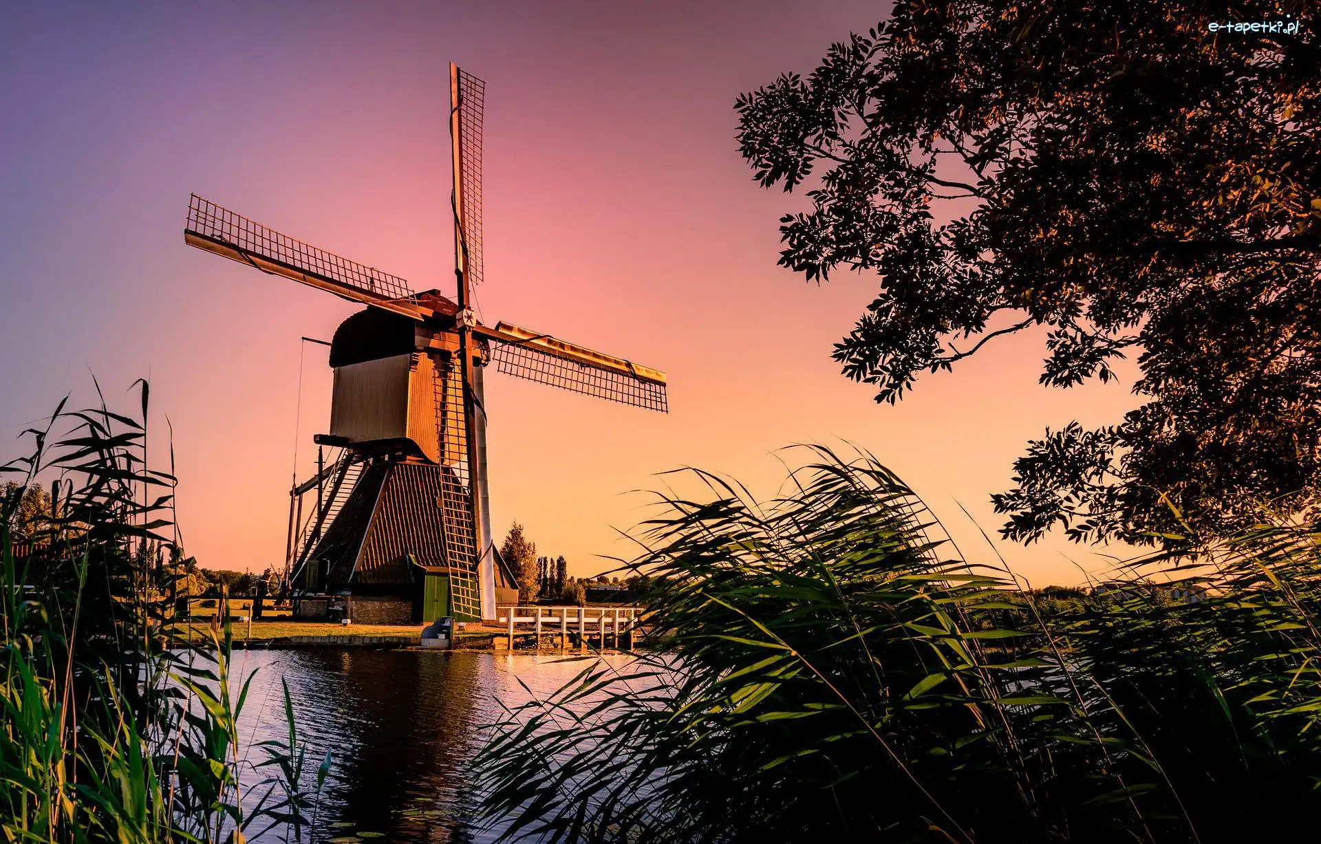 Kinderdijk, Drzewo, Niebo, Holandia, Trawa, Wiatrak