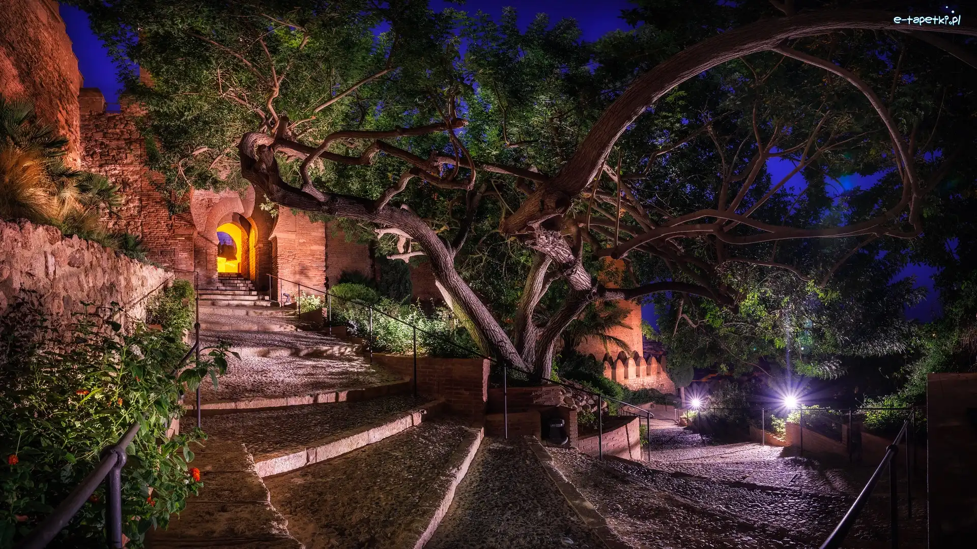 Jardin de Al-Andalus, Andaluzja, Noc, Drzewa, Almeria, Baszta, Alcazaba, Hiszpania