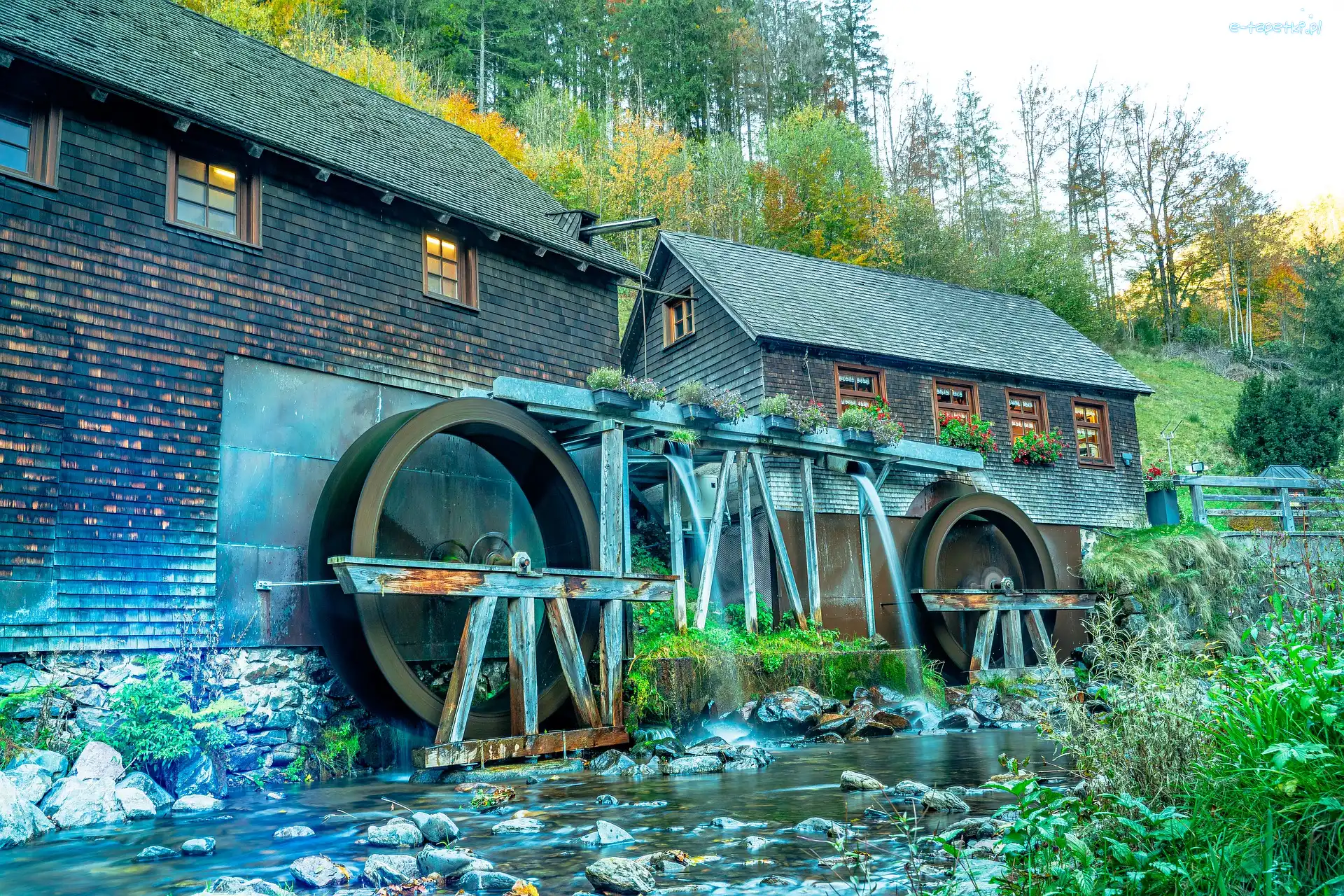 Młyn, Restauracja, Hexenloch Mill, Niemcy, Czarny Las