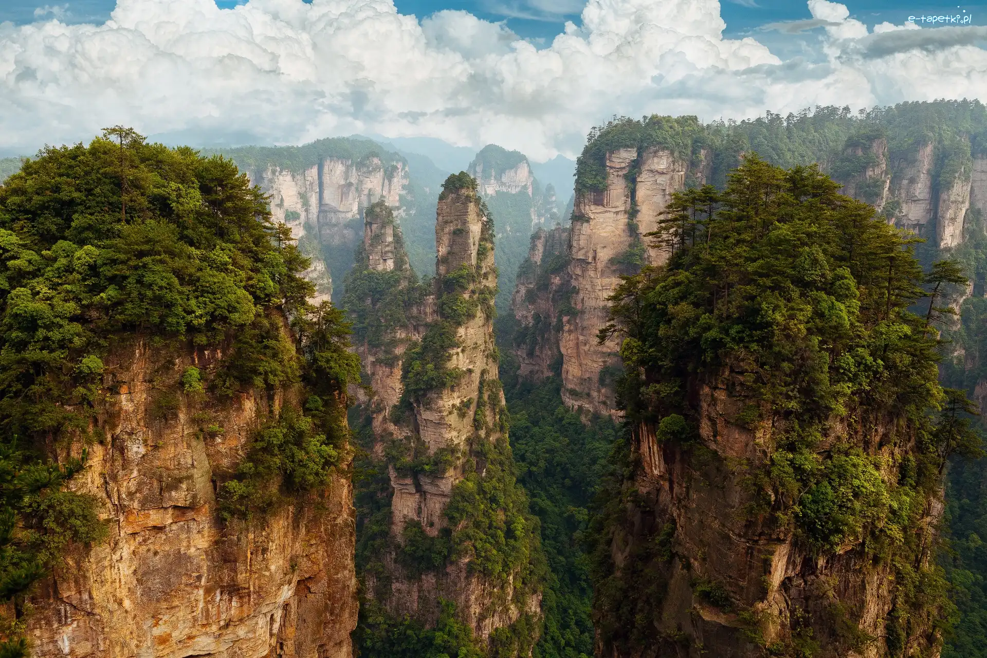 Góry, Skały, Drzewa, Zhangjiajie National Forest Park, Prowincja Hunan, Chiny