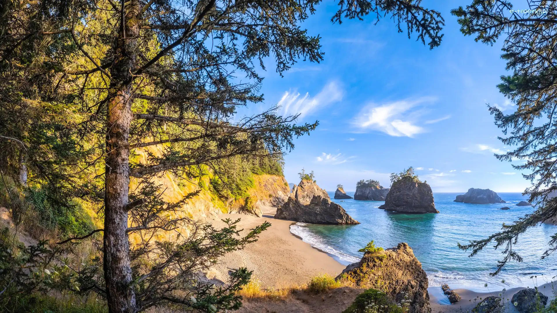 Punkt widokowy, Morze, Natural Bridges Viewpoint, Skały, Stany Zjednoczone, Drzewa, Samuel H Boardman State Scenic Corridor, Oregon, Wybrzeże Park stanowy, Wysepki, Brookings