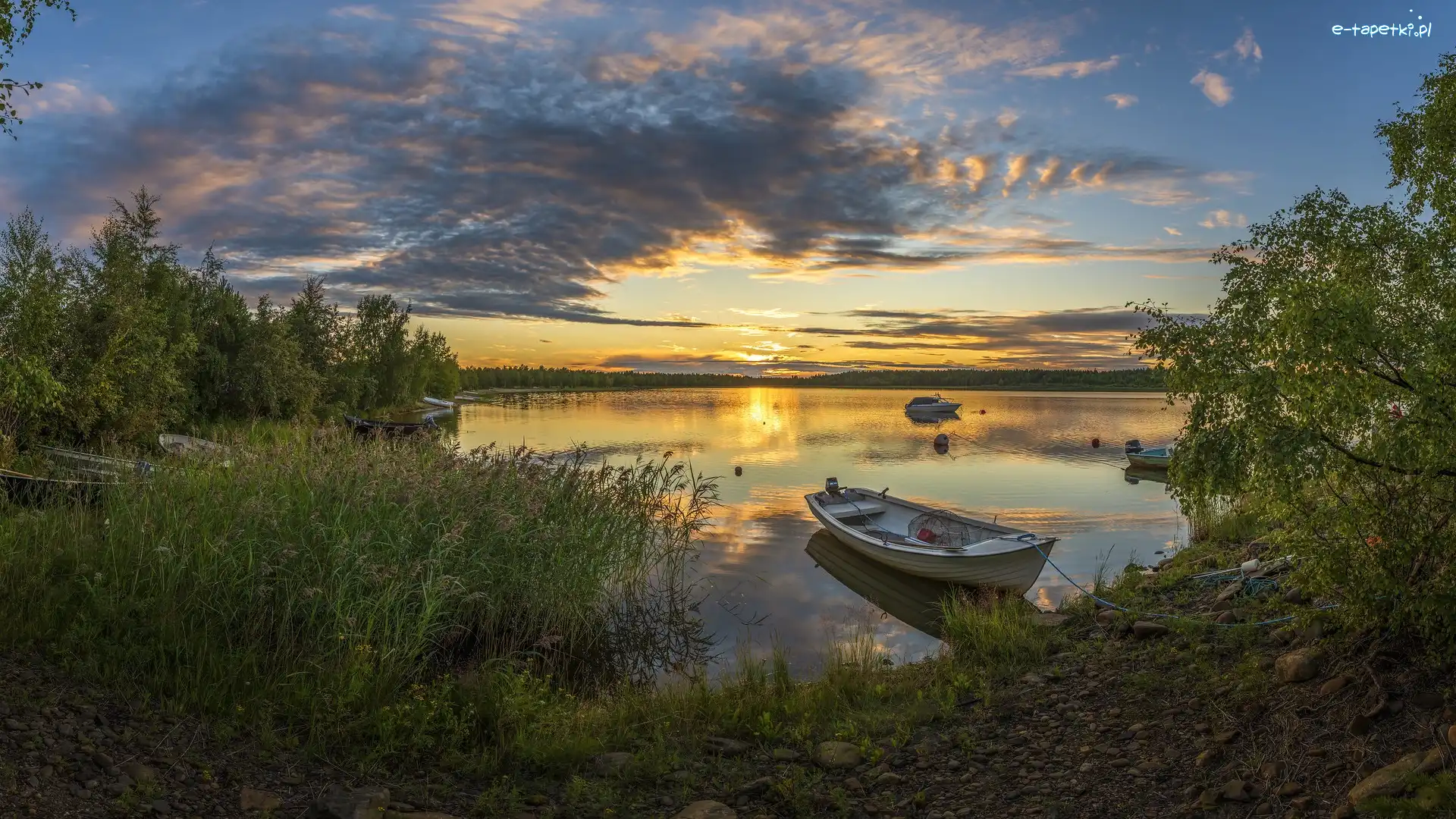 Łódki, Zachód słońca, Finlandia, Hailuoto, Jezioro, Drzewa, Trawa, Lato