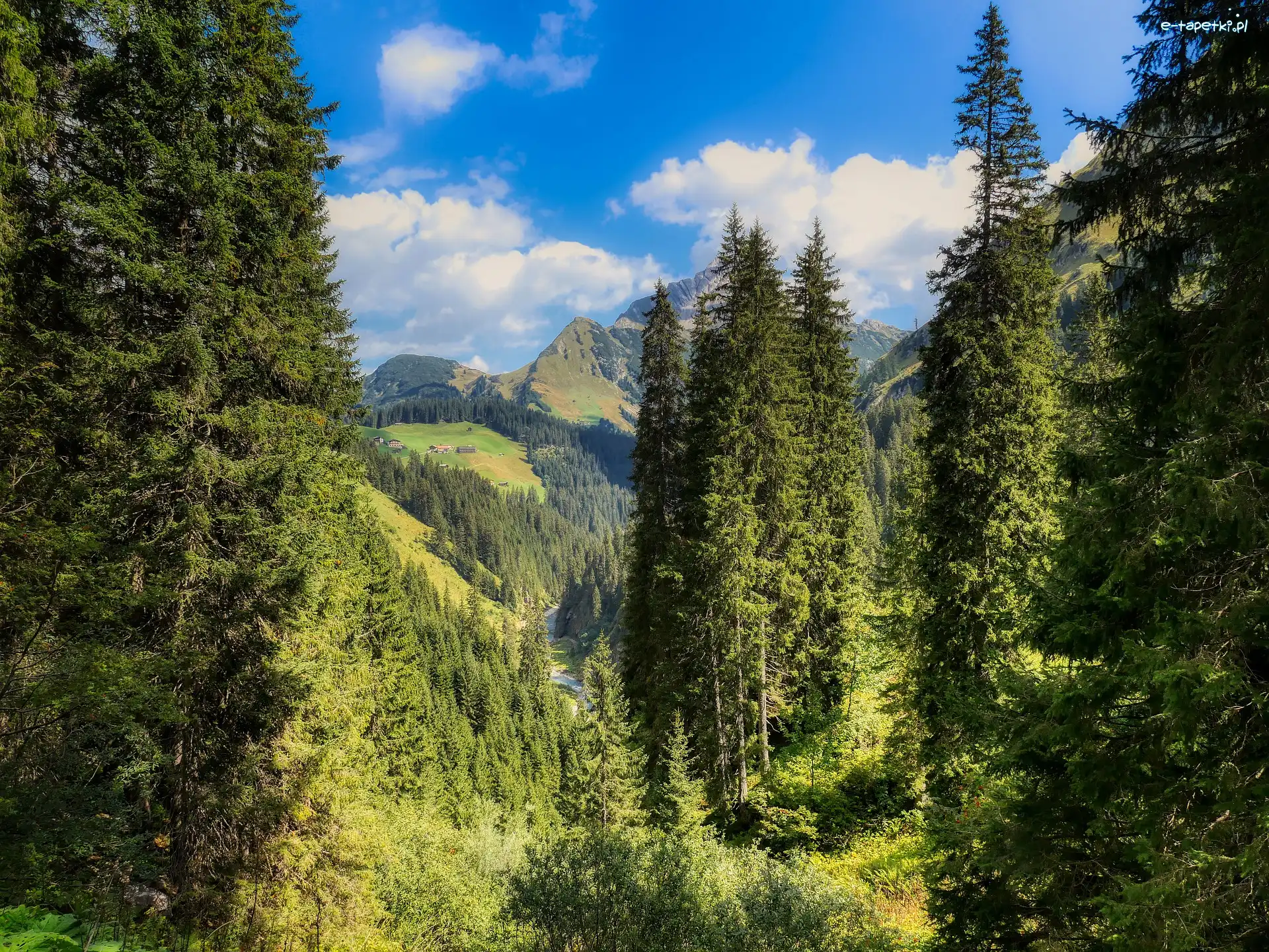 Austria, Dolina, Góry, Las, Drzewa, Tyrol, Alpy