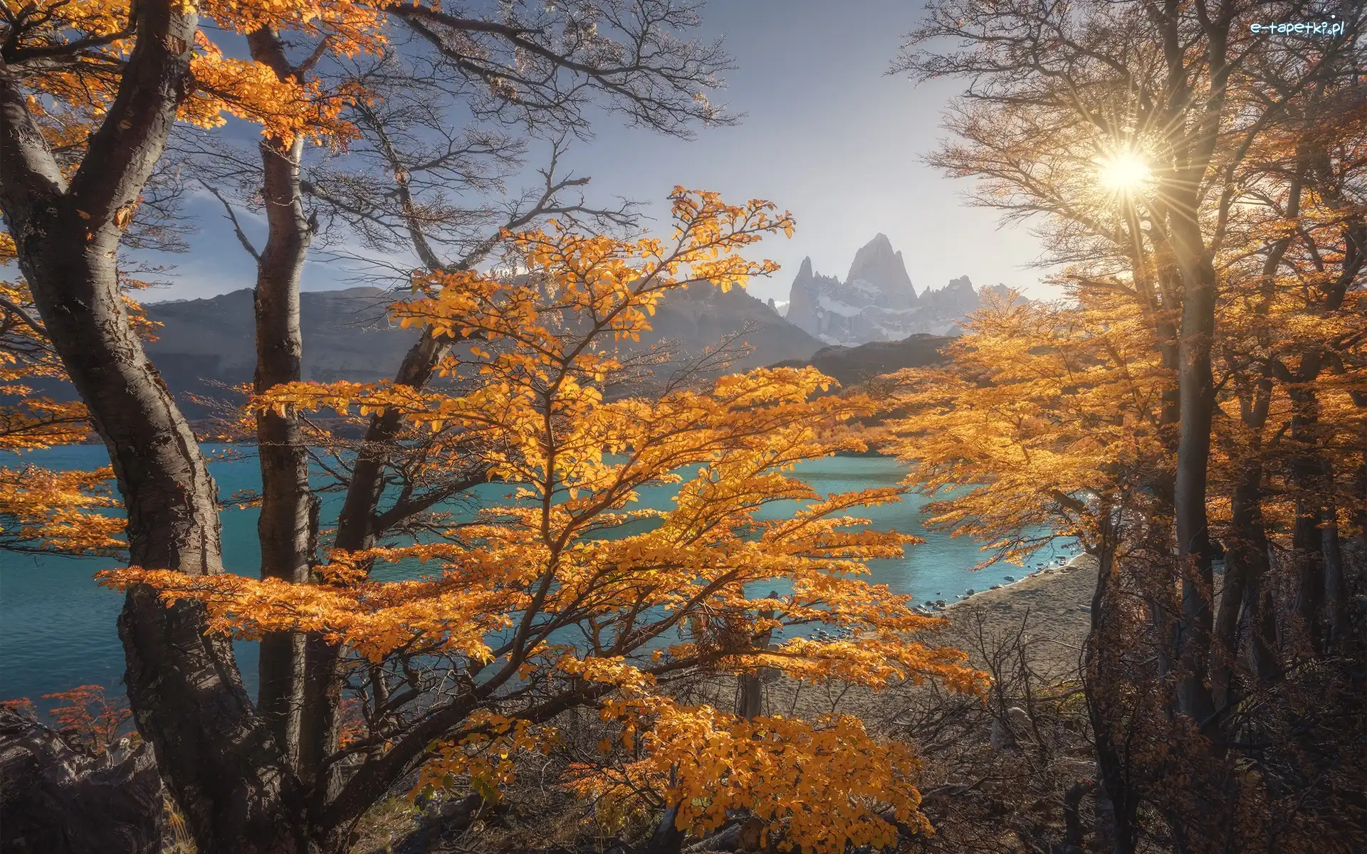 Fitz Roy, Patagonia, Jezioro, Promienie słońca, Góra, Jesień, Drzewa, Argentyna