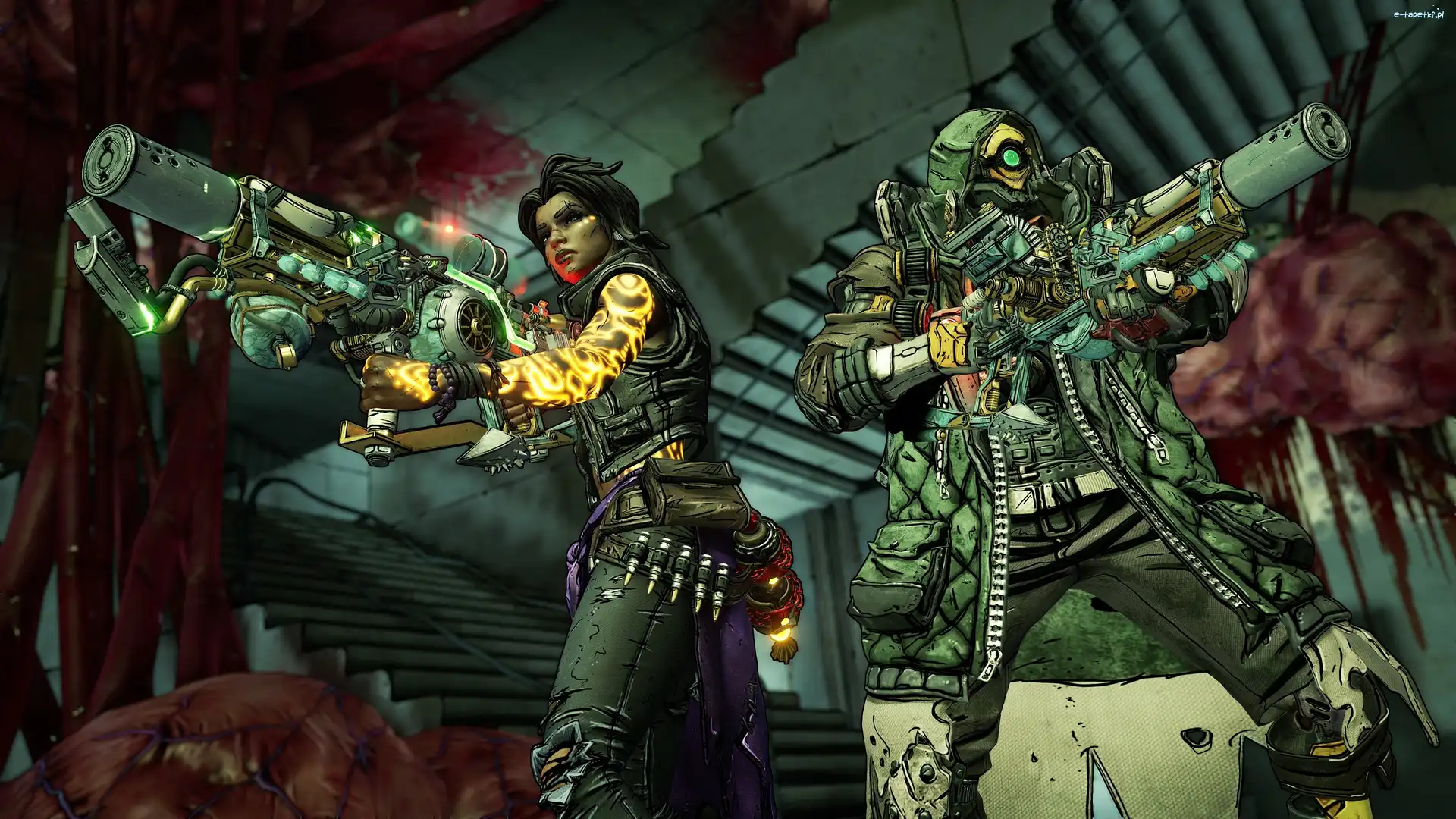 Broń, Borderlands 3, Gra, Postacie