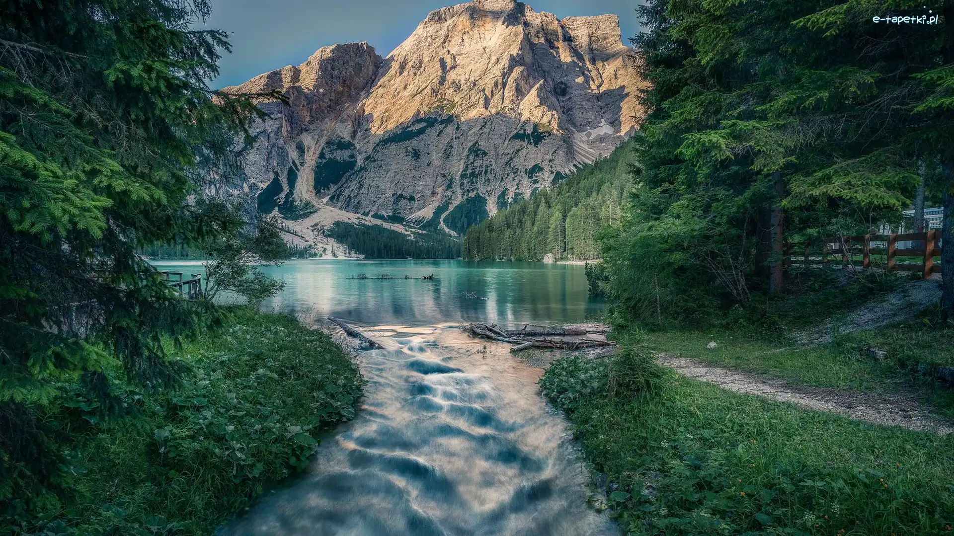 Drzewa, Jezioro, Braies Lake, Włochy, Dolomity, Góry