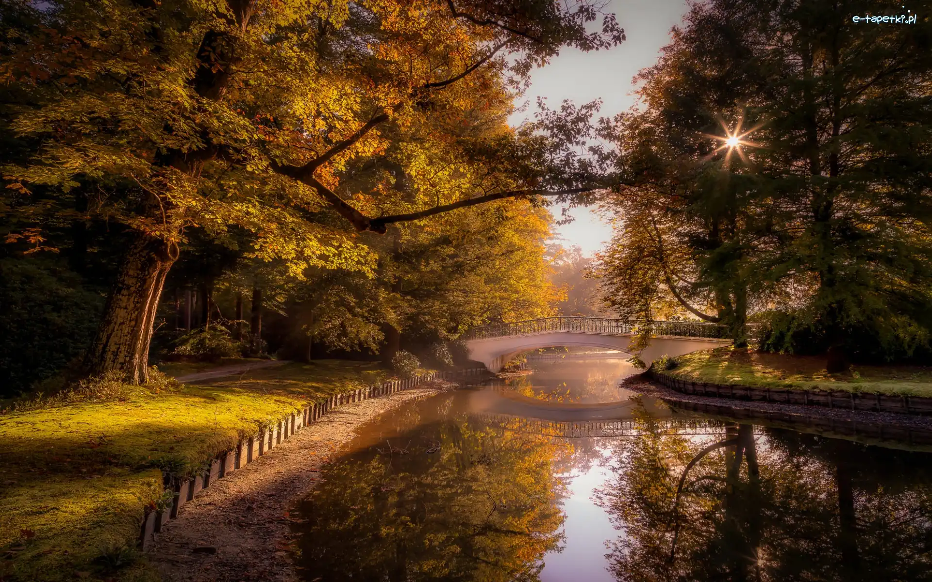 Jesień, Most, Drzewa, Staw, Park, Promienie słońca, Odbicie