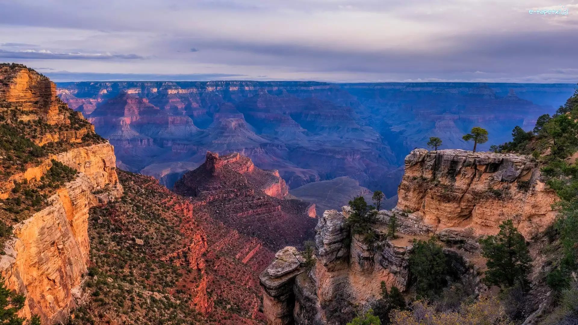 Kanion, Skały, Stany Zjednoczone, Arizona, Drzewa, Grand Canyon, Park Narodowy Wielkiego Kanionu, Góry