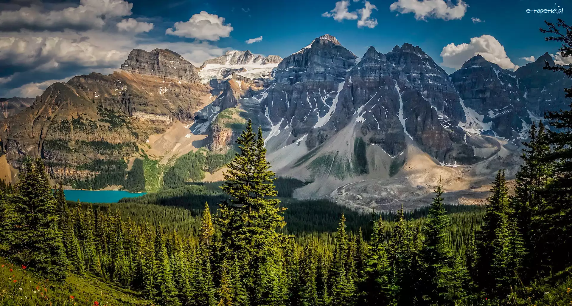 Jezioro Moraine, Drzewa, Kanada, Prowincja Alberta, Kanadyjskie Góry Skaliste, Dolina Dziesięciu Szczytów, Park Narodowy Banff, Las