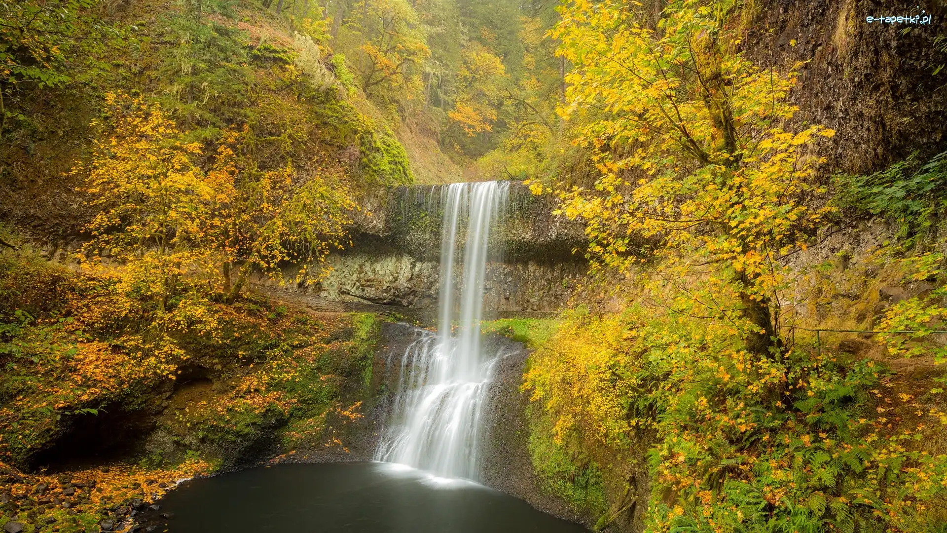 Stany Zjednoczone, Lower South Falls, Żółte, Wodospad, Jesień, Oregon, Drzewa