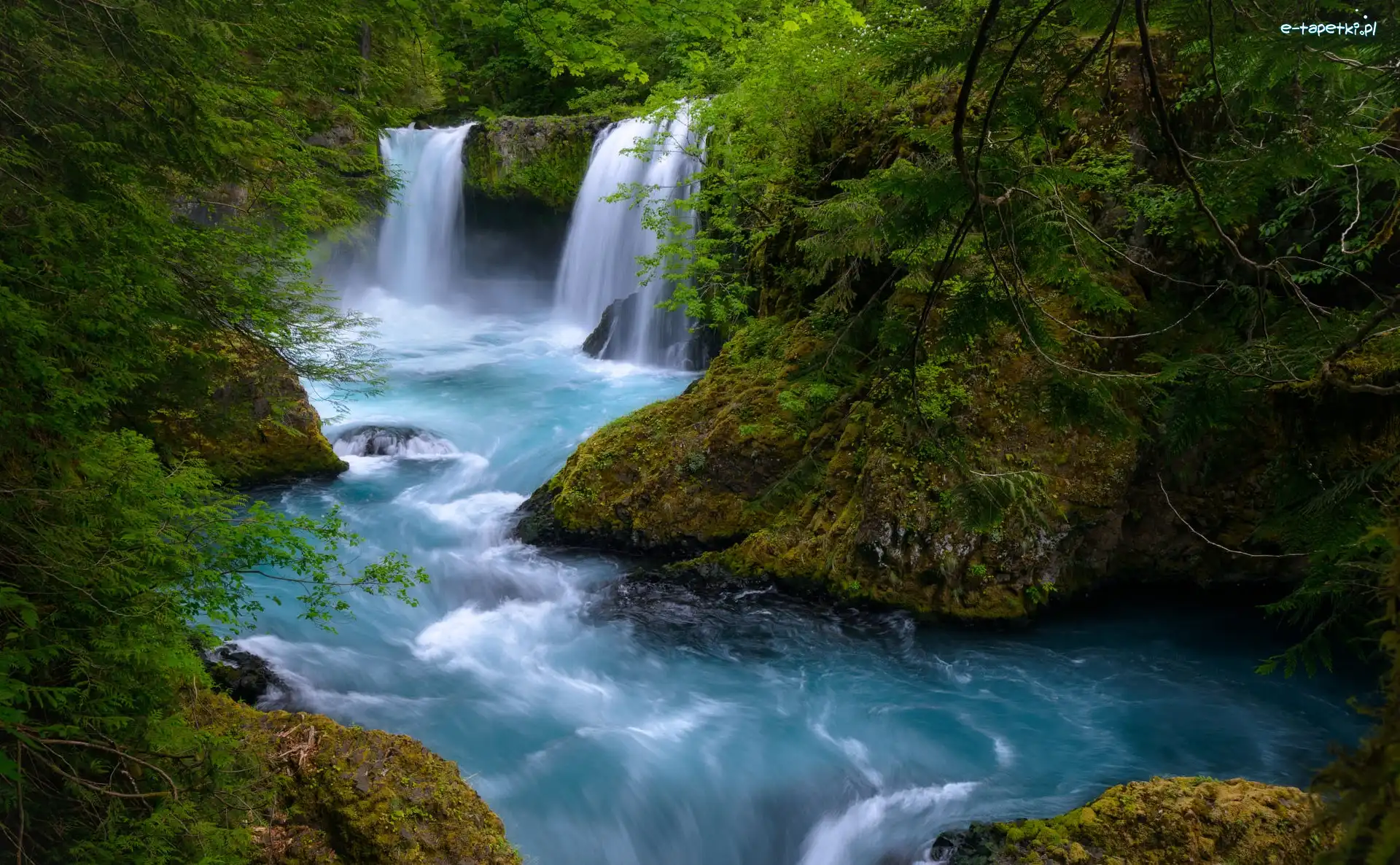 Wodospad, Stany Zjednoczone, Spirit Falls, Las Narodowy Gifford Pinchot, Skały, Drzewa, Little White Salmon River, Kamienie, Rzeka, Stan Waszyngton, Omszałe