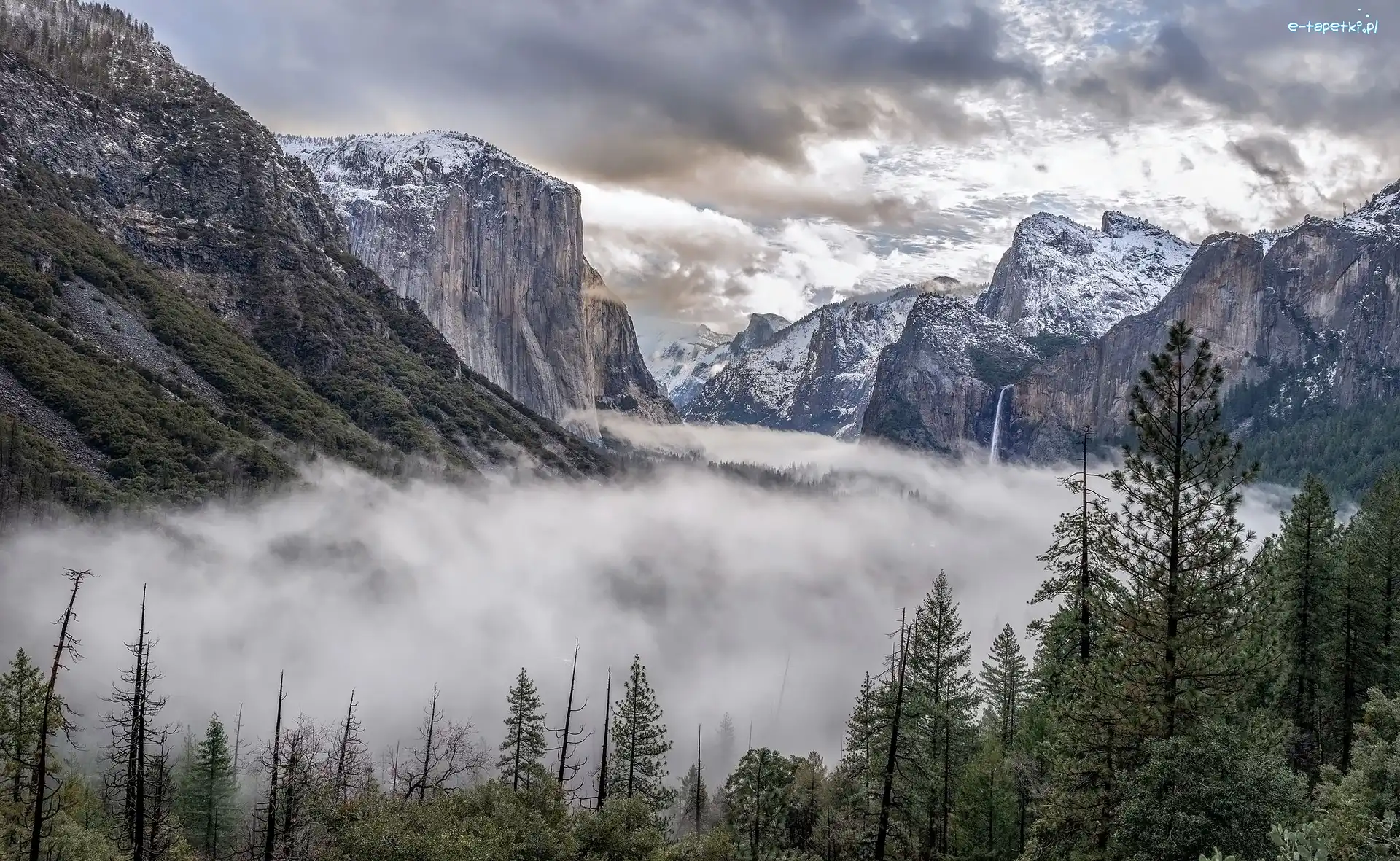 Stany Zjednoczone, Mgła, Chmury, Drzewa, Góry, Kalifornia, Park Narodowy Yosemite