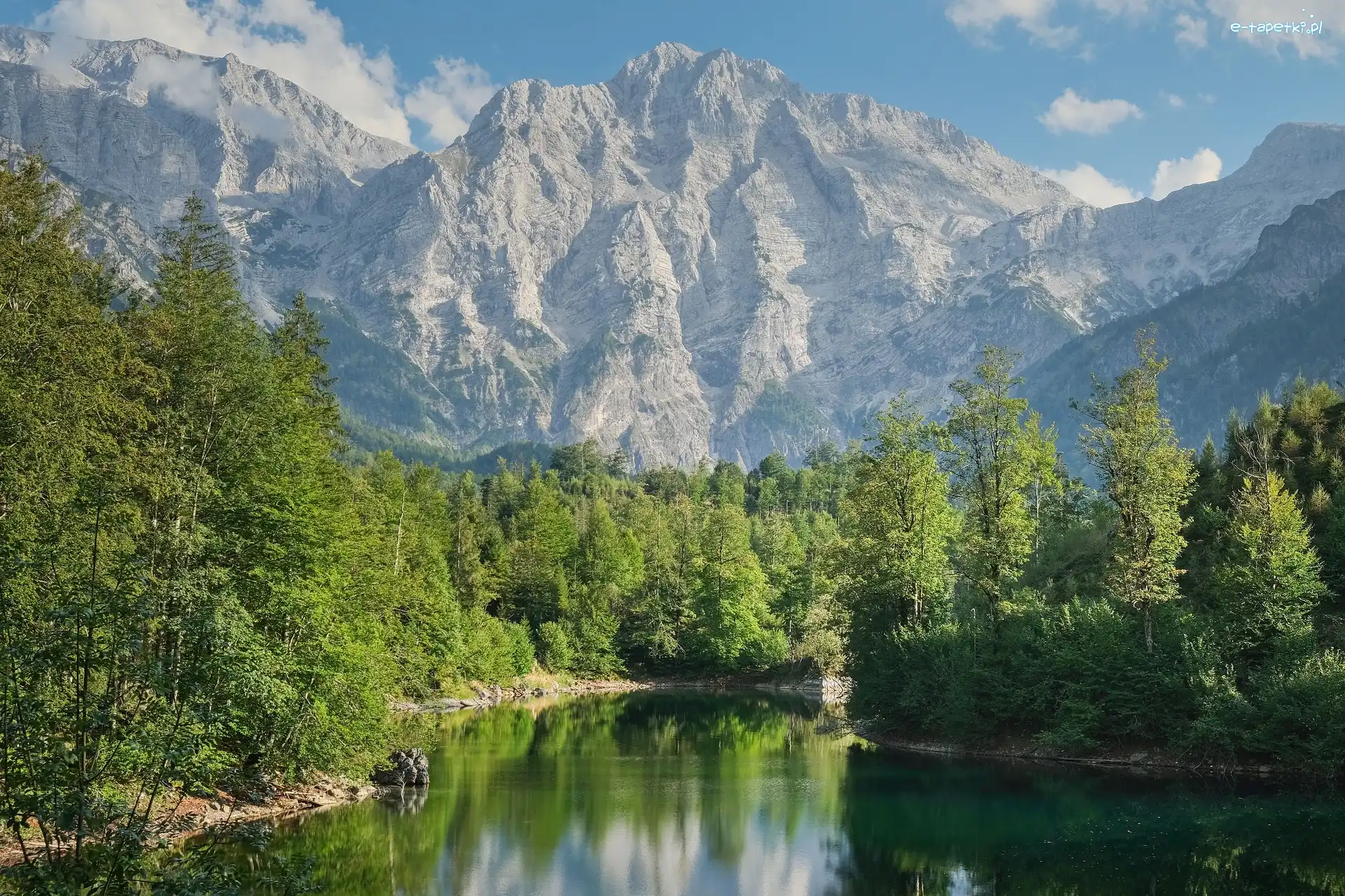 Drzewa, Góry, Zugspitze, Niemcy, Alpy Bawarskie, Jezioro Eibsee