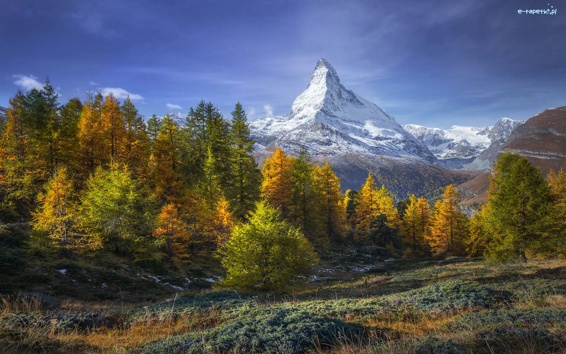 Szwajcaria, Szczyt Matterhorn, Drzewa, Alpy, Góry, Jesień, Las