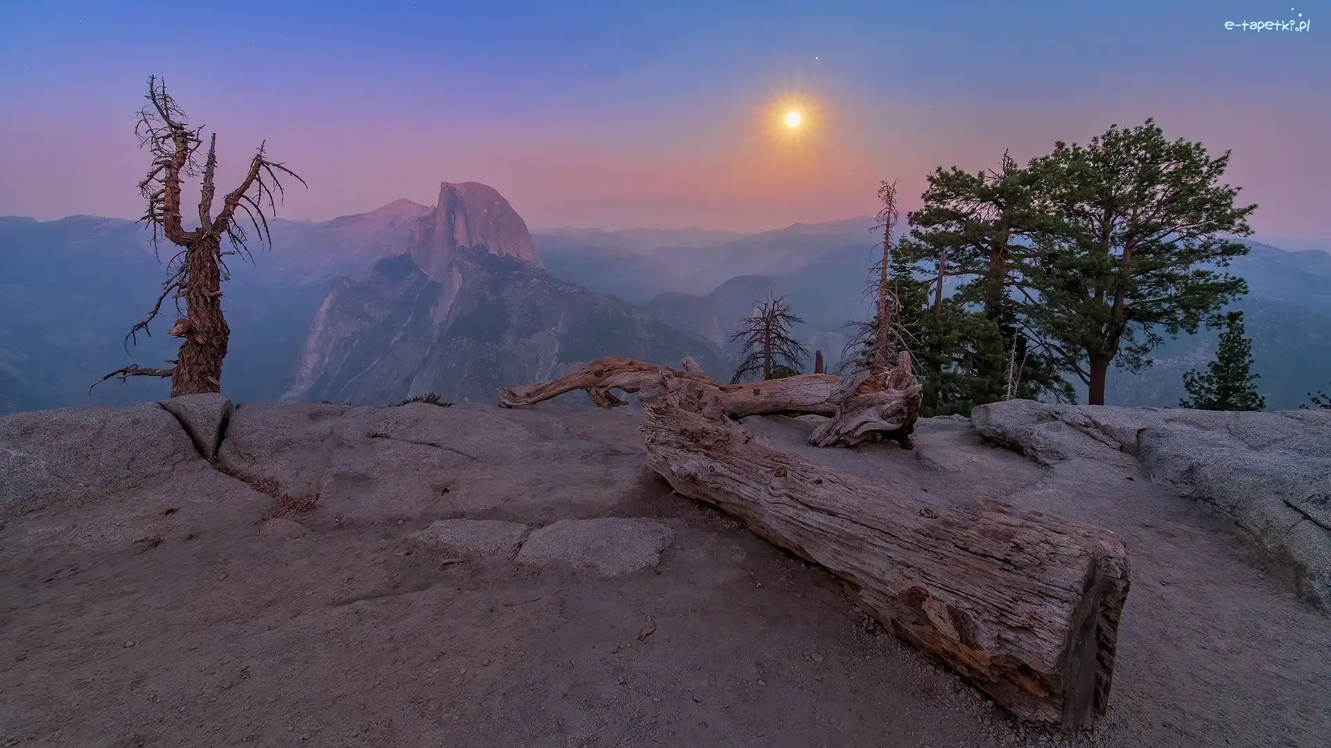 Mgła, Konar, Drzewa, Skały, Góry, Stany Zjednoczone, Kalifornia, Suchy, Park Narodowy Yosemite